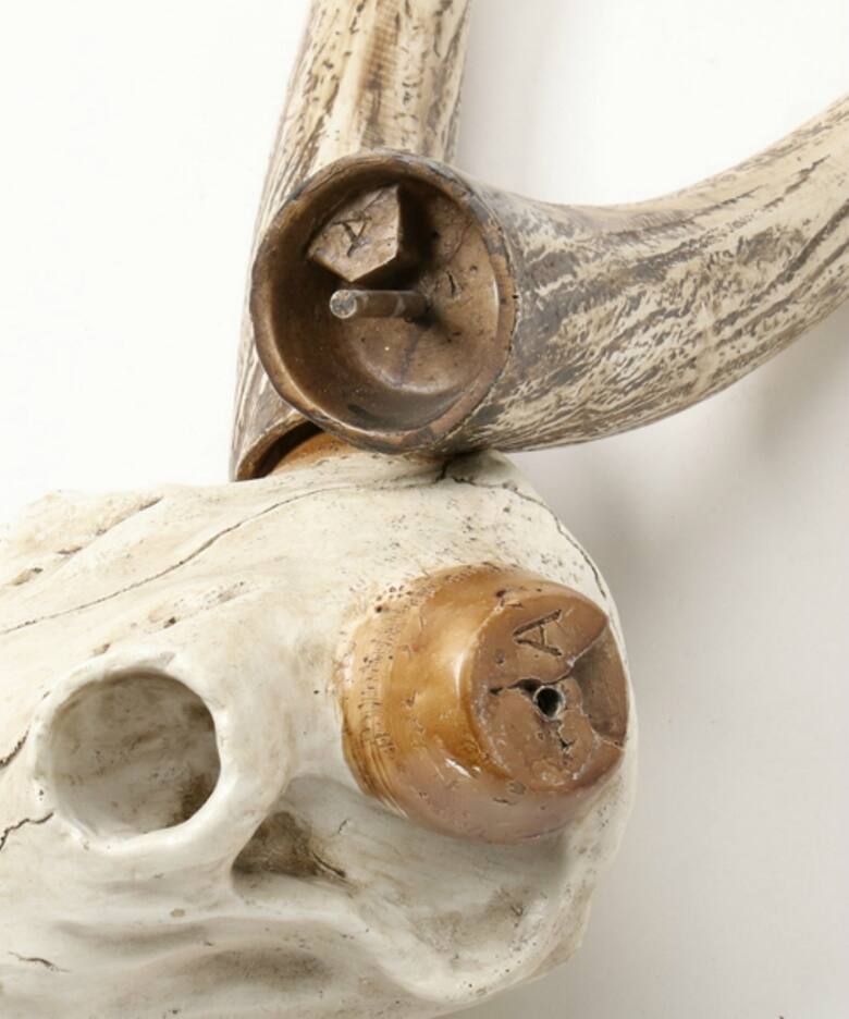 30L RESIN STEER SKULL（家電）｜ACME Furniture（アクメ ファニチャー 
