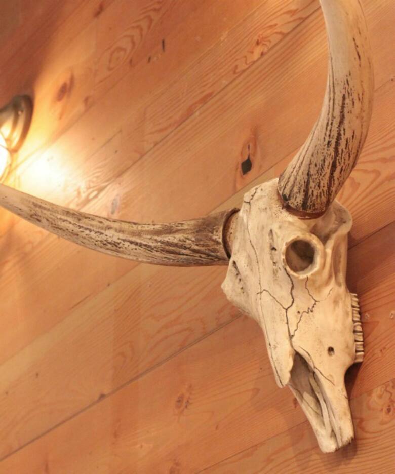 30L RESIN STEER SKULL（家電）｜ACME Furniture（アクメ ファニチャー 