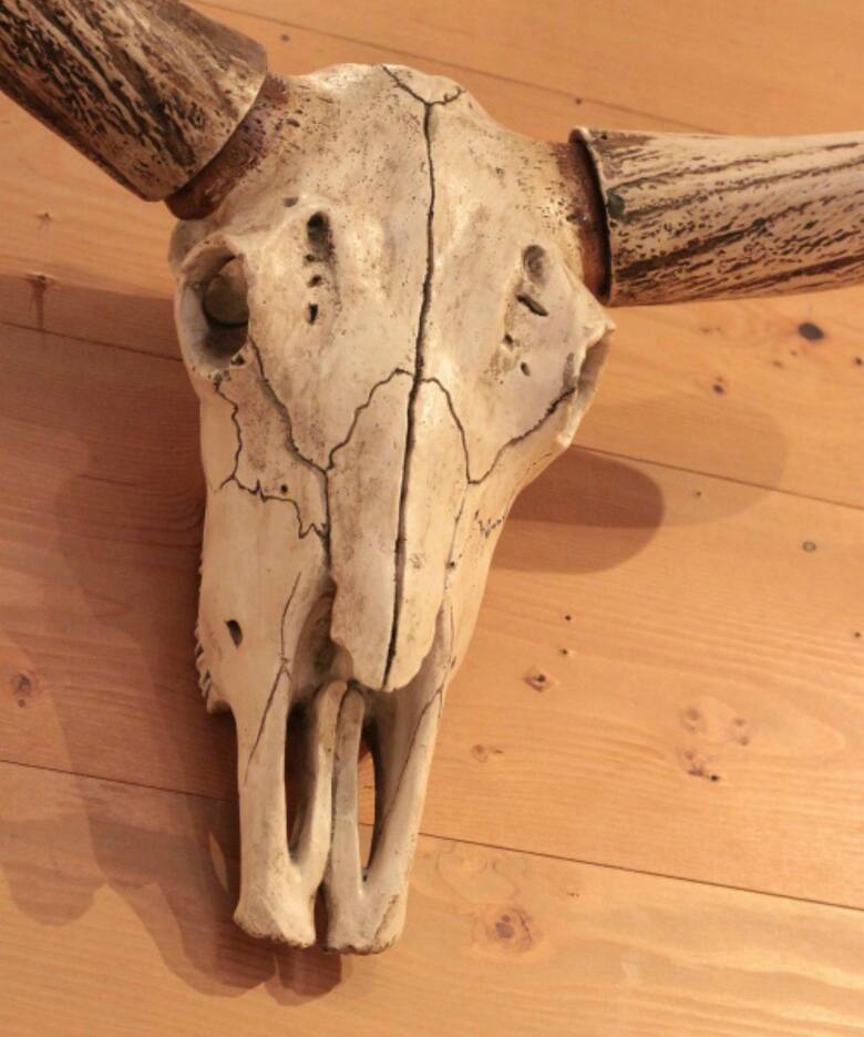 30L RESIN STEER SKULL（家電）｜ACME Furniture（アクメ ファニチャー 