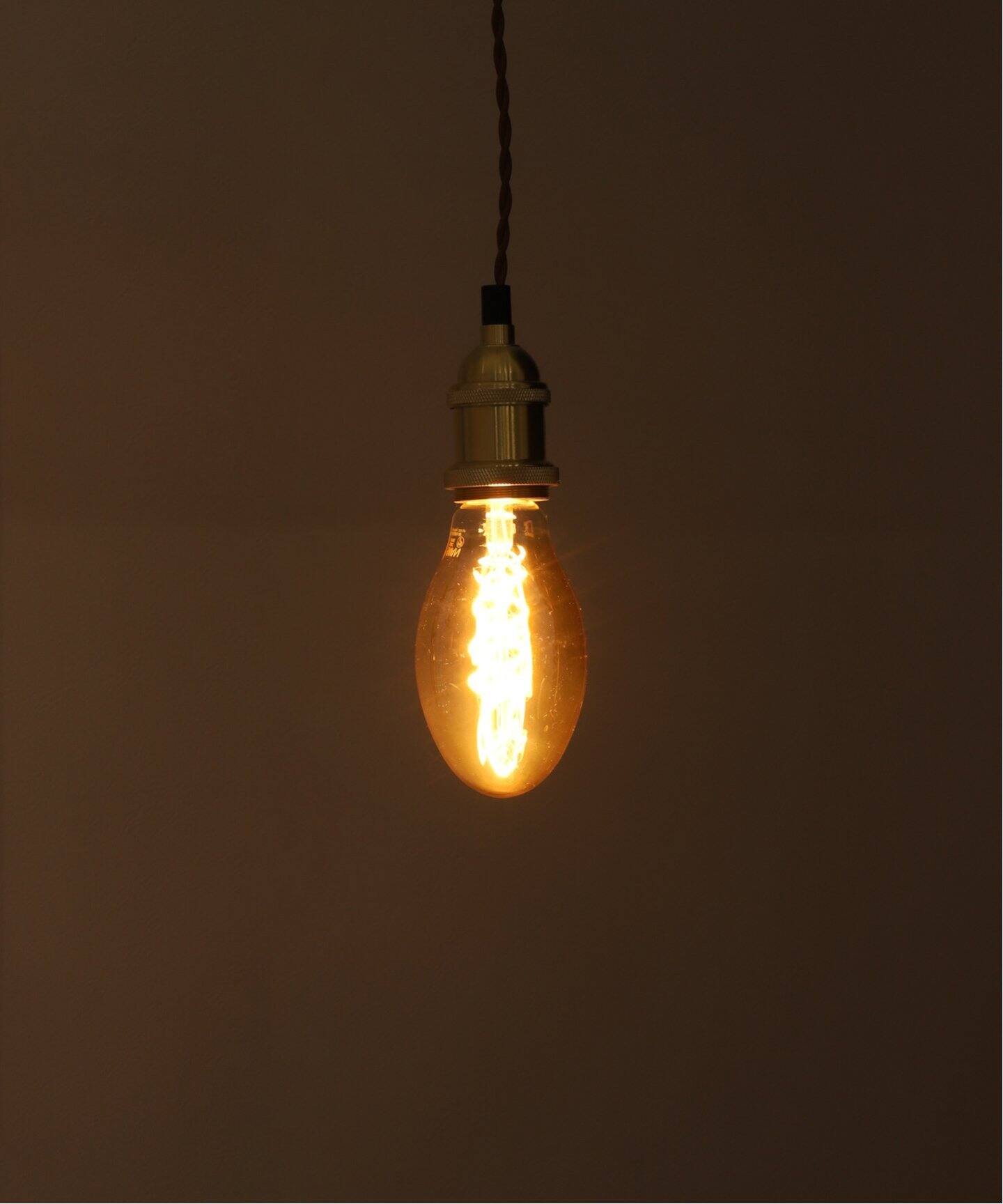 LED SWAN BULB VF OVAL LED電球（照明）｜JOURNAL STANDARD FURNITURE