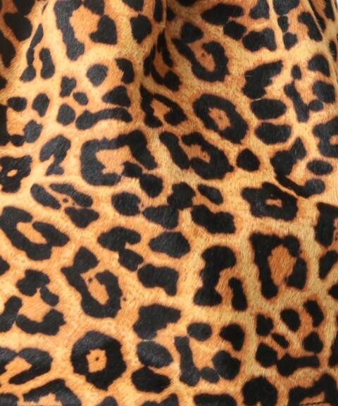 19ss Relume レオパードハラコキンチャクバッグ Journal Standard Relume ジャーナルスタンダード レリューム 公式のファッション通販 Baycrew S Store 19ss Relume レオパードハラコキンチャクバッグ Journal Standard Relume ジャーナルスタンダード レリューム 公式のファッション通販 Baycrew S Store