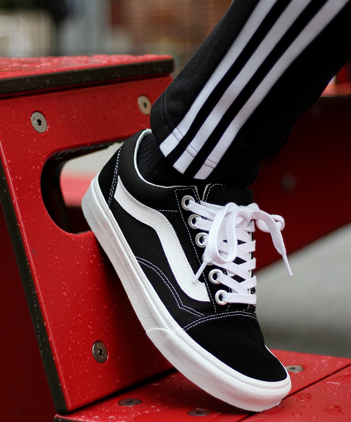 exclusive vans old skool