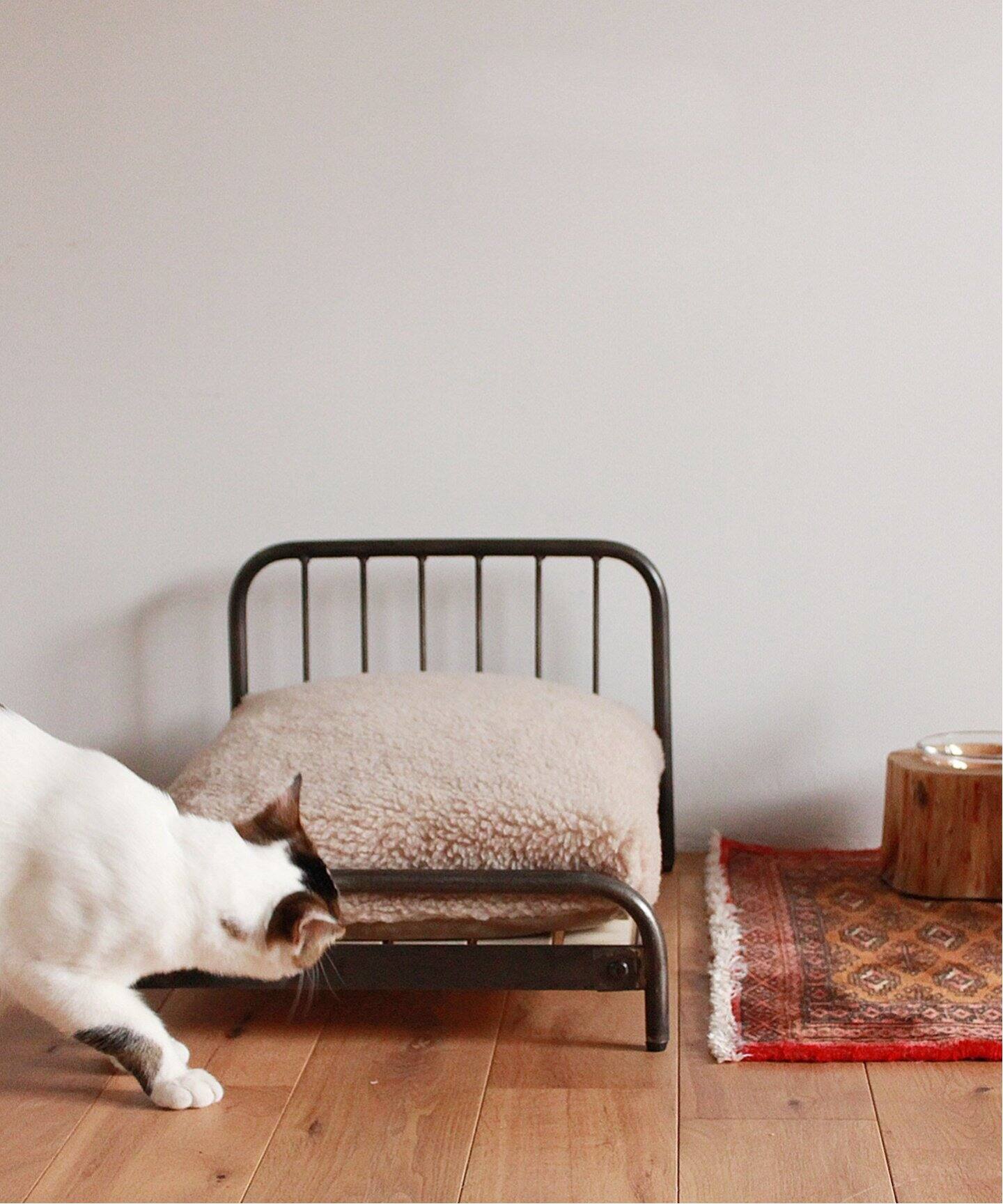 SENS BED for CAT（ベッド）｜JOURNAL STANDARD FURNITURE（ジャーナル 