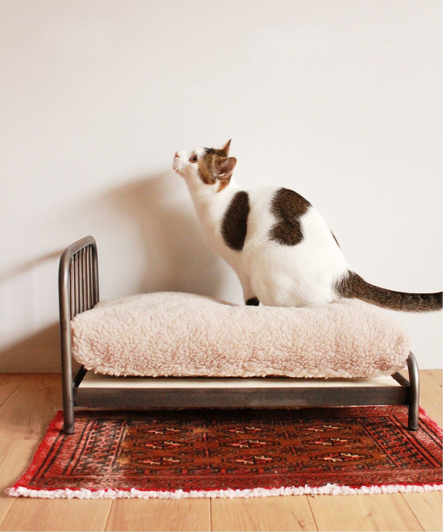 SENS BED for CAT（ベッド）｜JOURNAL STANDARD FURNITURE（ジャーナル 