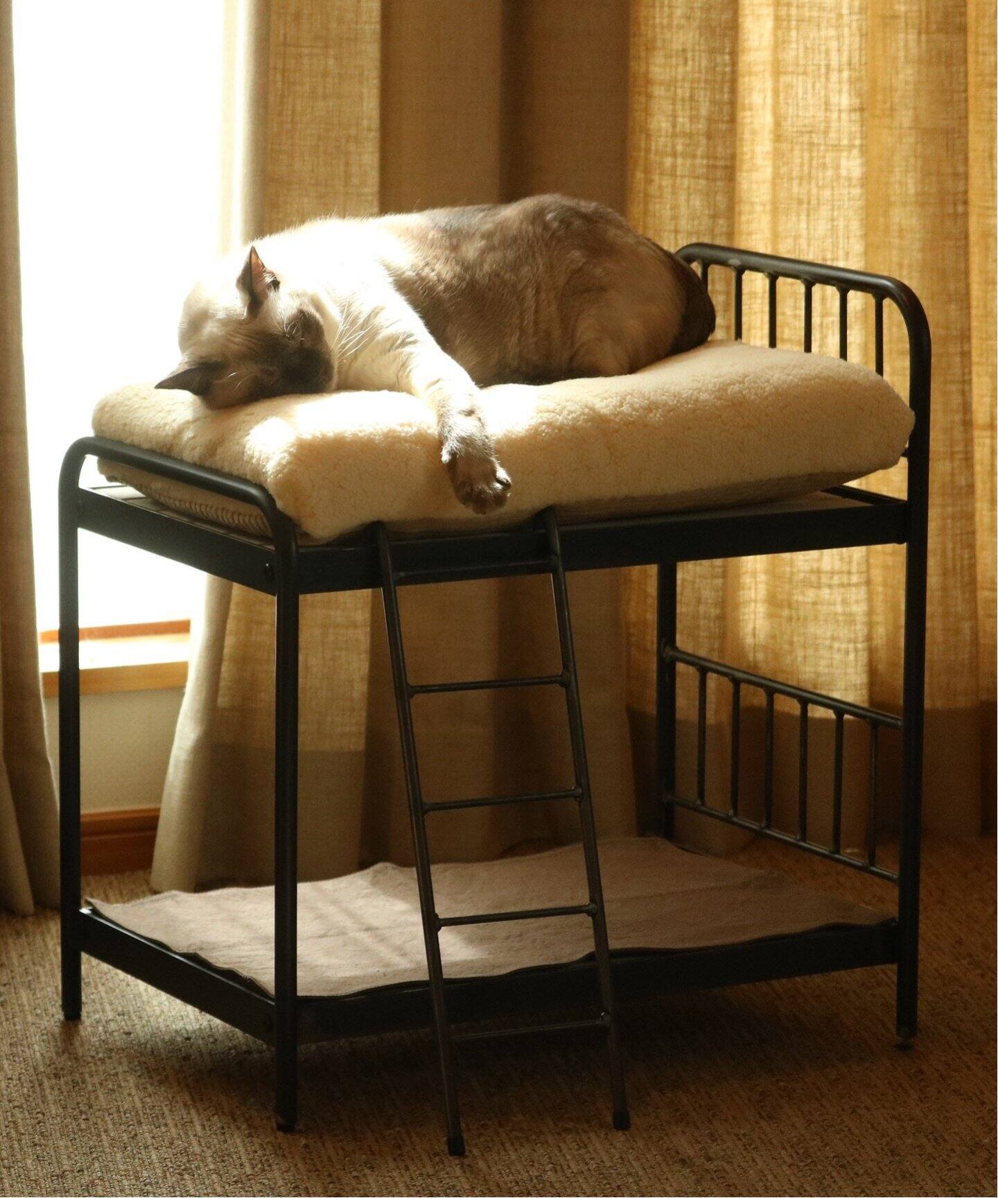 SENS BUNK BED for CAT サンクバンクベッド（ベッド）｜JOURNAL 