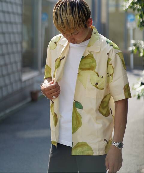 Fruit Painted S S シャツ B C Stock ベーセーストック 公式のファッション通販 Baycrew S Store