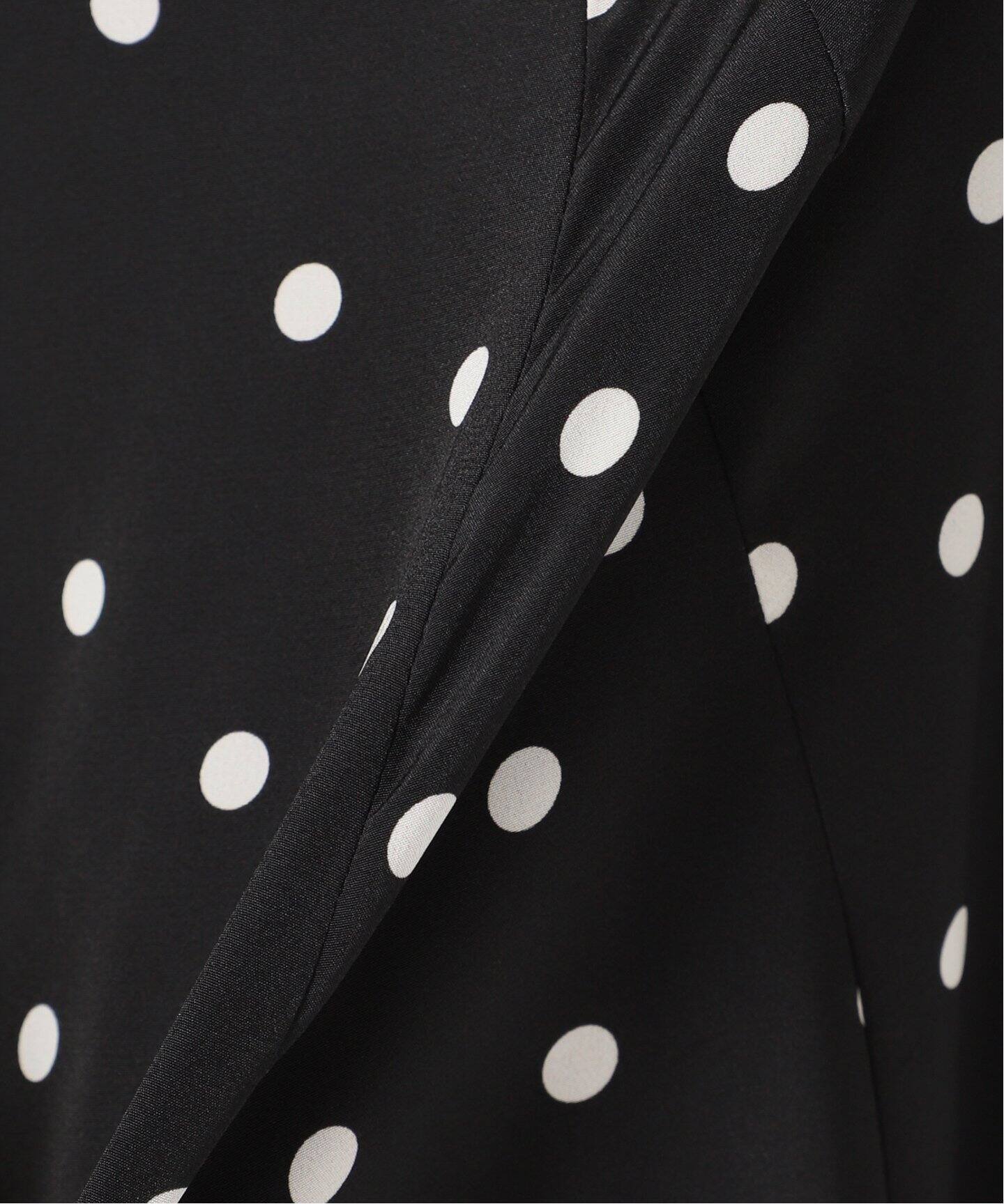 ドットパネルフレアスカート◇（ロング・マキシ丈スカート）｜IENA  