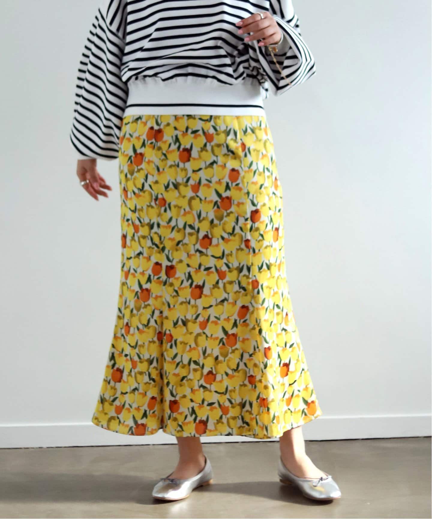 新品50弁♪トロイメライ♪不思議なお話♪知らない国々オルフェウス520