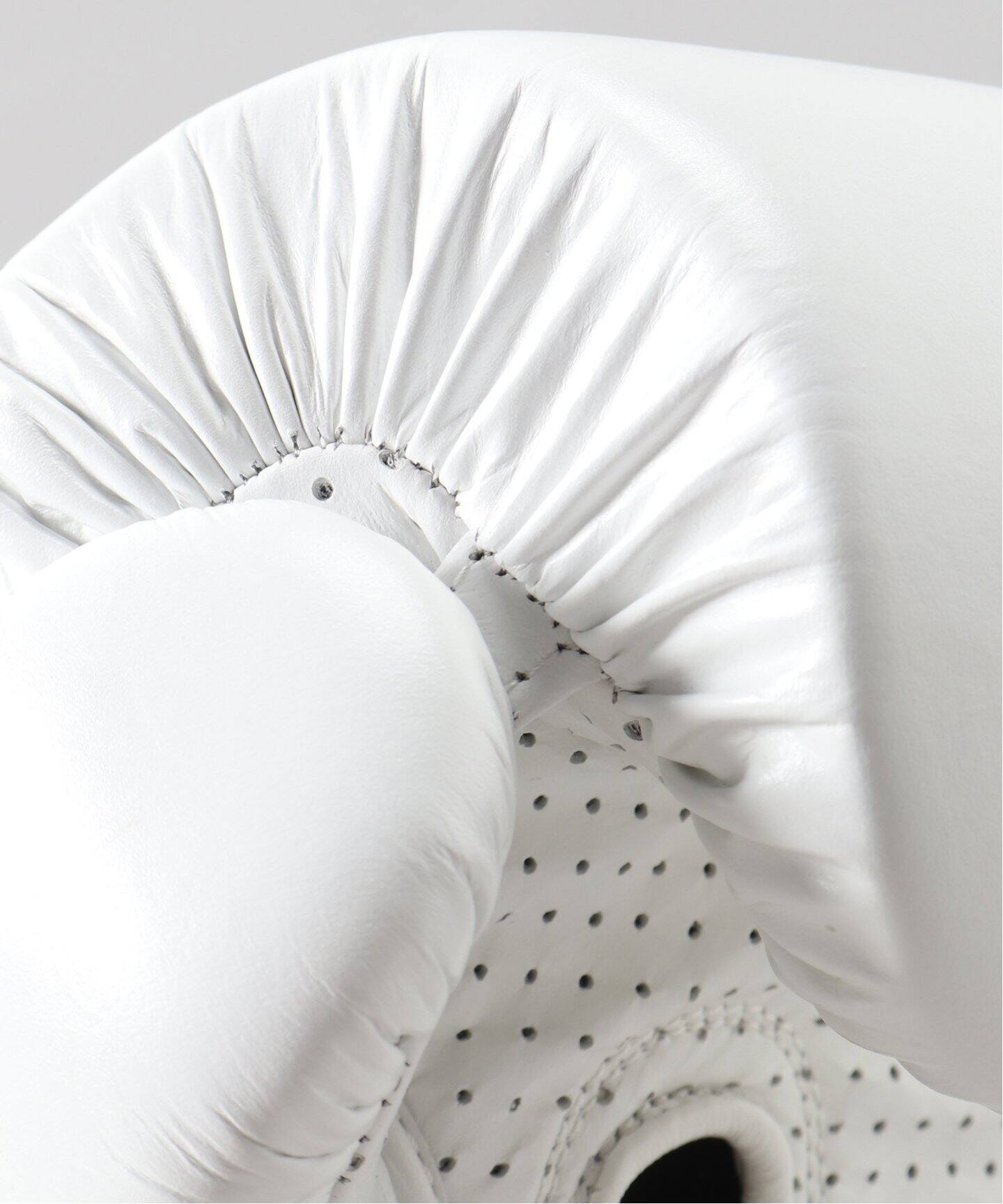 Everlast x RC】 1910 laced 16OZ Boxing Glove（その他