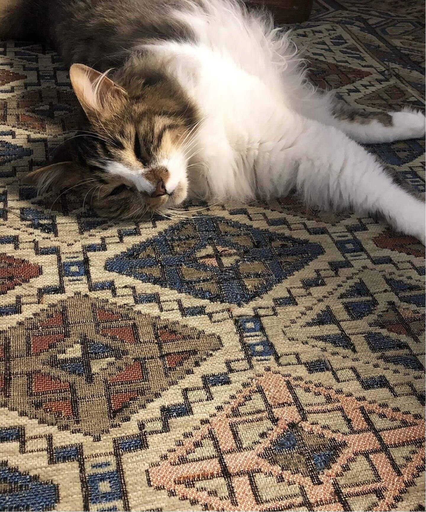 MORGEDAL 知れ ラテックスマットレス, ふつう/ダークグレー140x200CM 