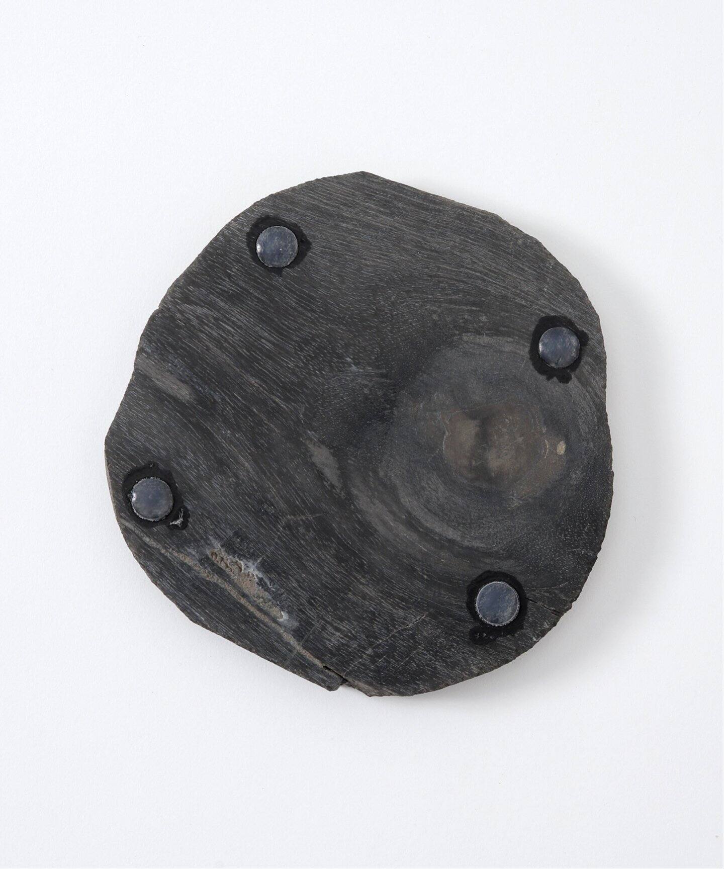 PETRIFIED WOOD PLATE ウッドプレートS（ルームフレグランス