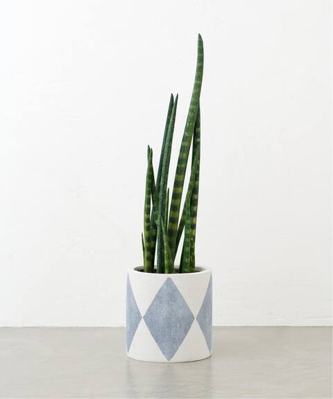 Farm ファーム Anneli Pot Dia 18w 鉢カバー Journal Standard Furniture ジャーナルスタンダード ファニチャー 公式のファッション通販 Baycrew S Store