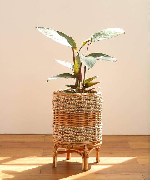 Farm ファーム Roine With Stand 35 鉢カバー スタンド Journal Standard Furniture ジャーナルスタンダード ファニチャー 公式のファッション通販 Baycrew S Store