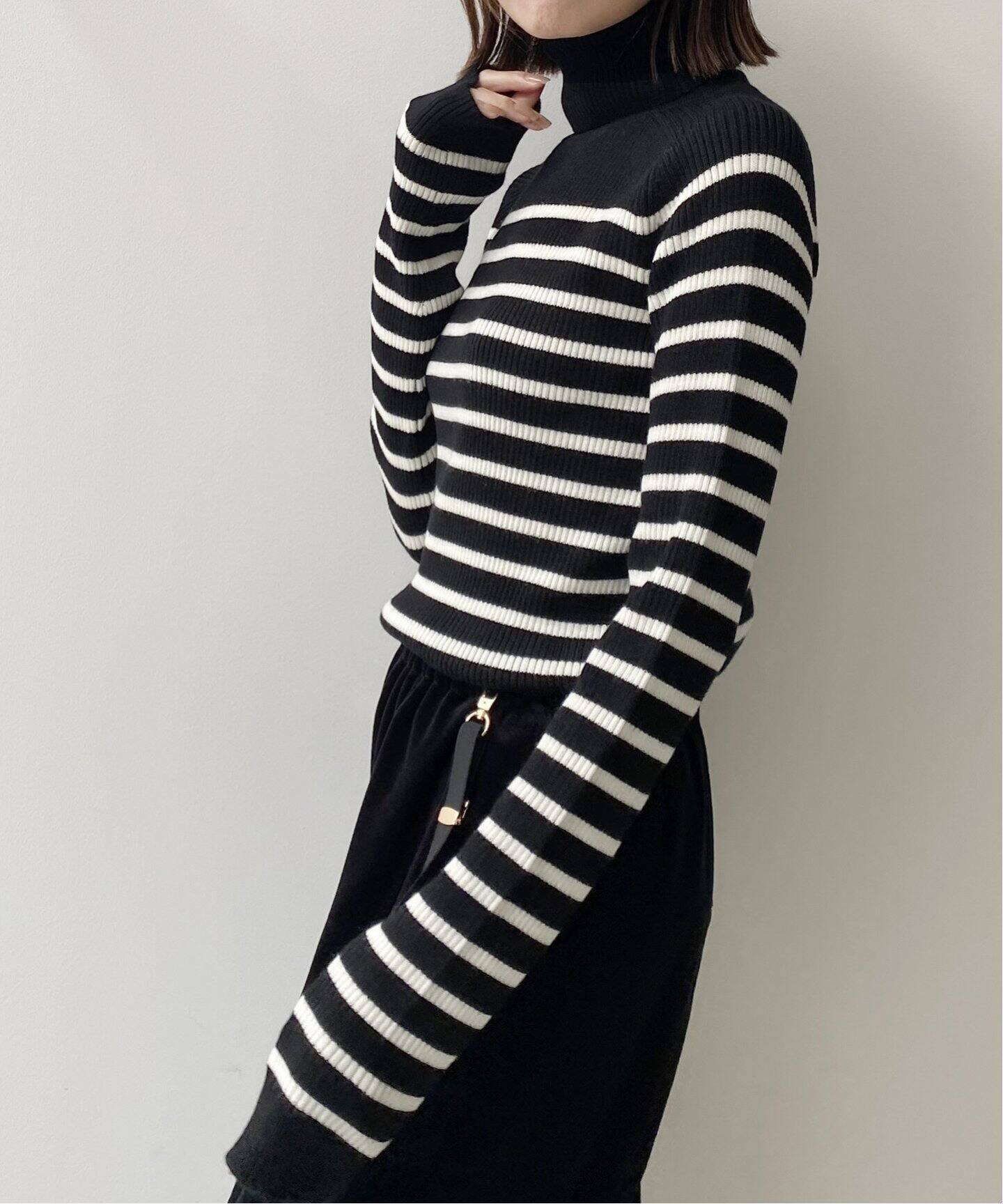 Border Turtleneck Knit（ニット／セーター）｜L
