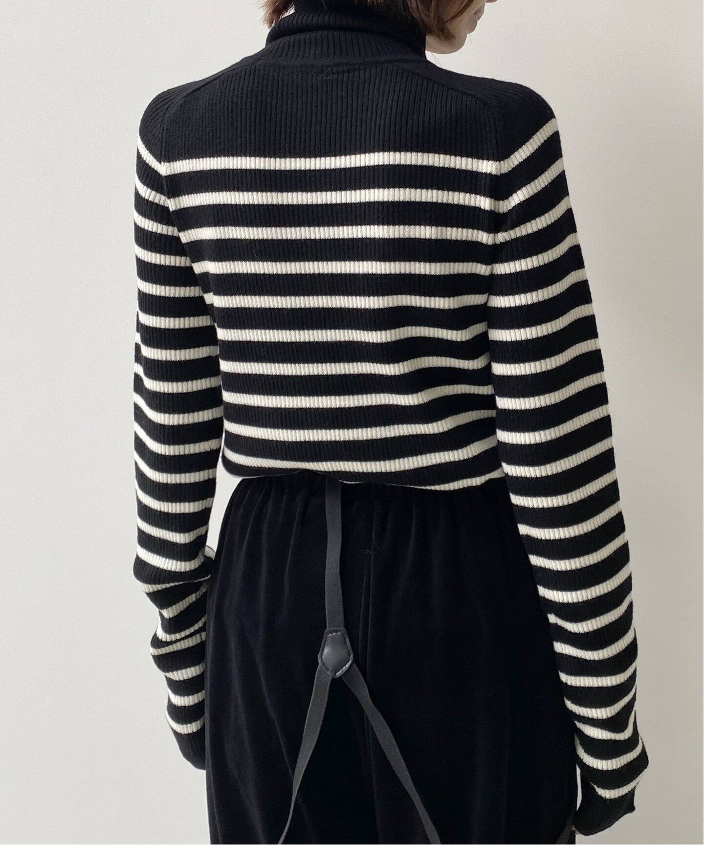 Border Turtleneck Knit（ニット／セーター）｜L