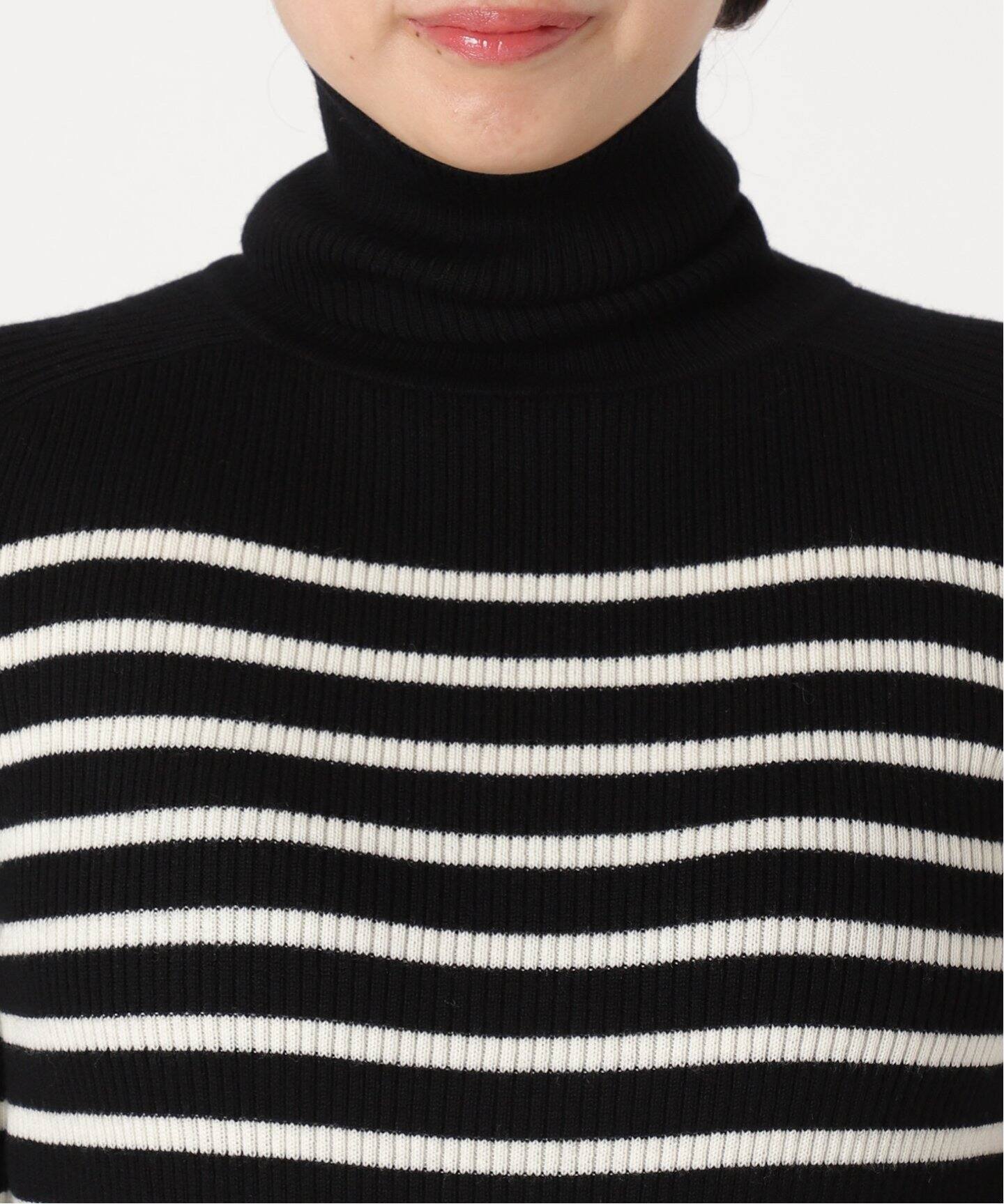 Border Turtleneck Knit（ニット／セーター）｜L