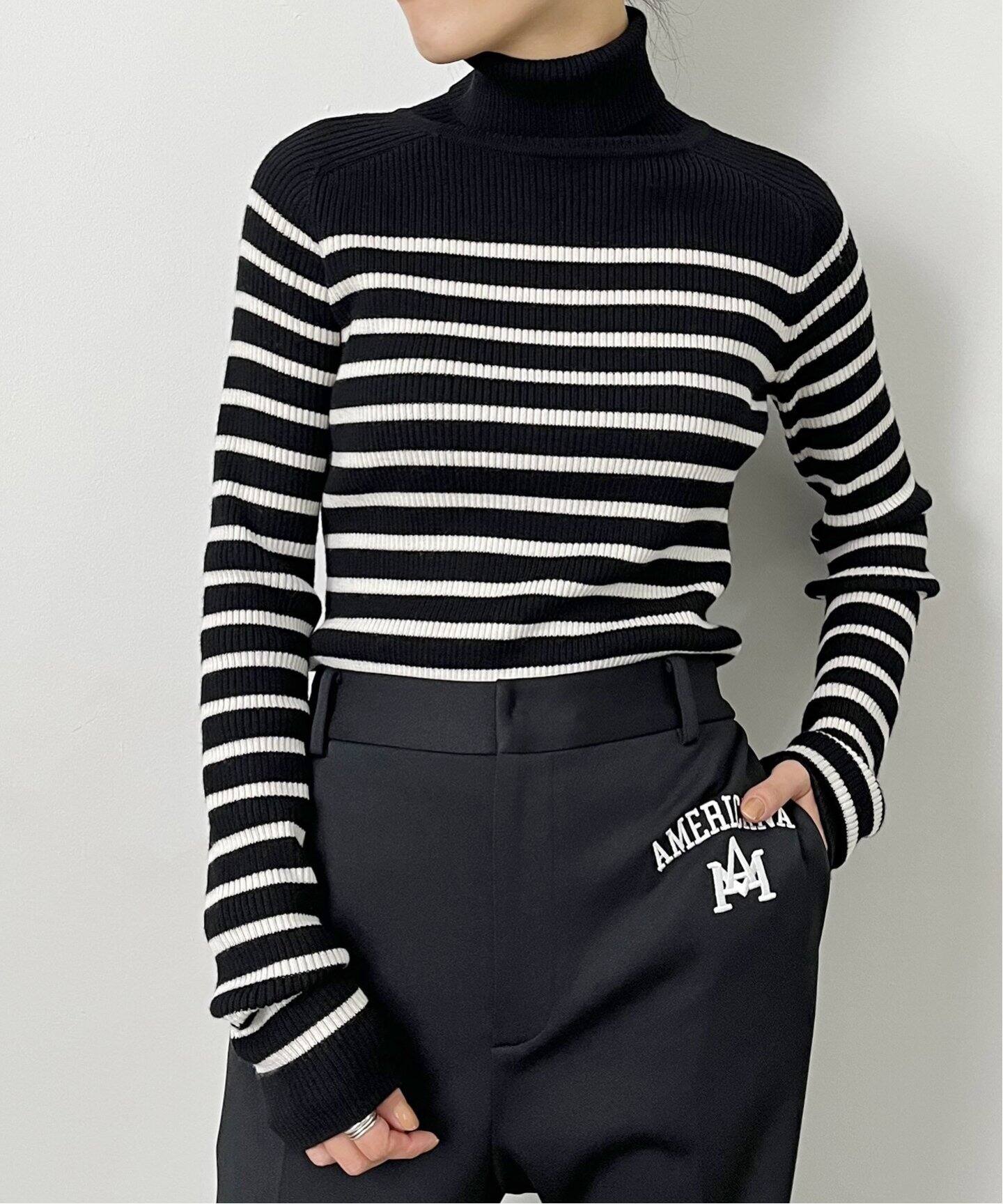 Border Turtleneck Knit（ニット／セーター）｜L
