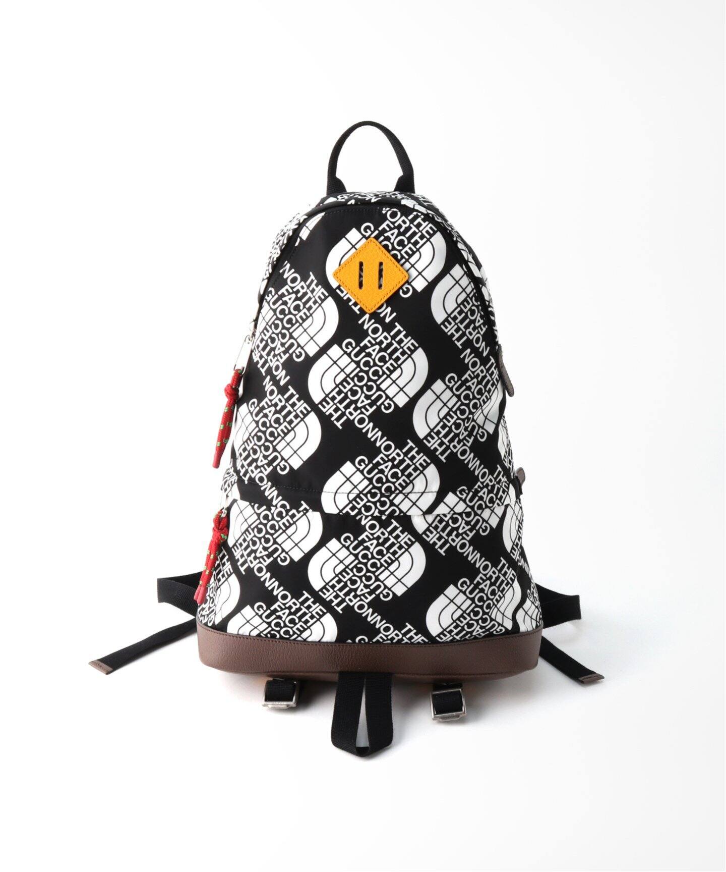 GUCCI×THE NORTH FACE バックパック（バックパック／リュック 