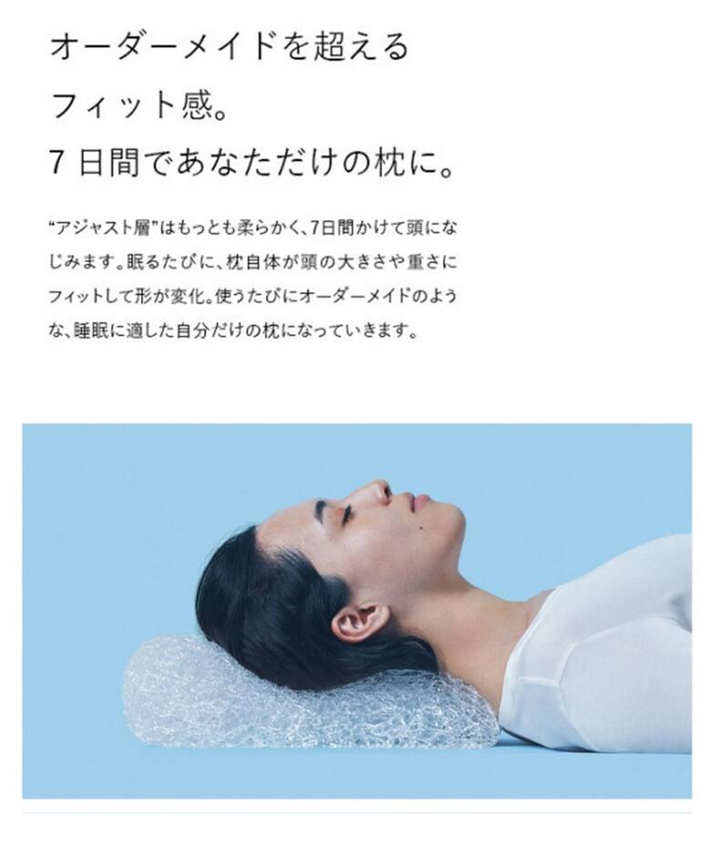 BRAIN SLEEP/ブレインスリープ】ピロー STANDARD 枕 本体のみ (9 