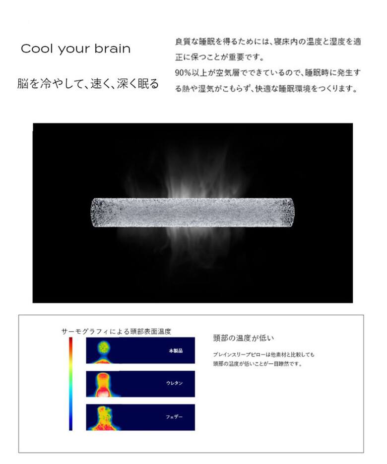 BRAIN SLEEP/ブレインスリープ】ピロー STANDARD 枕 本体のみ (9 
