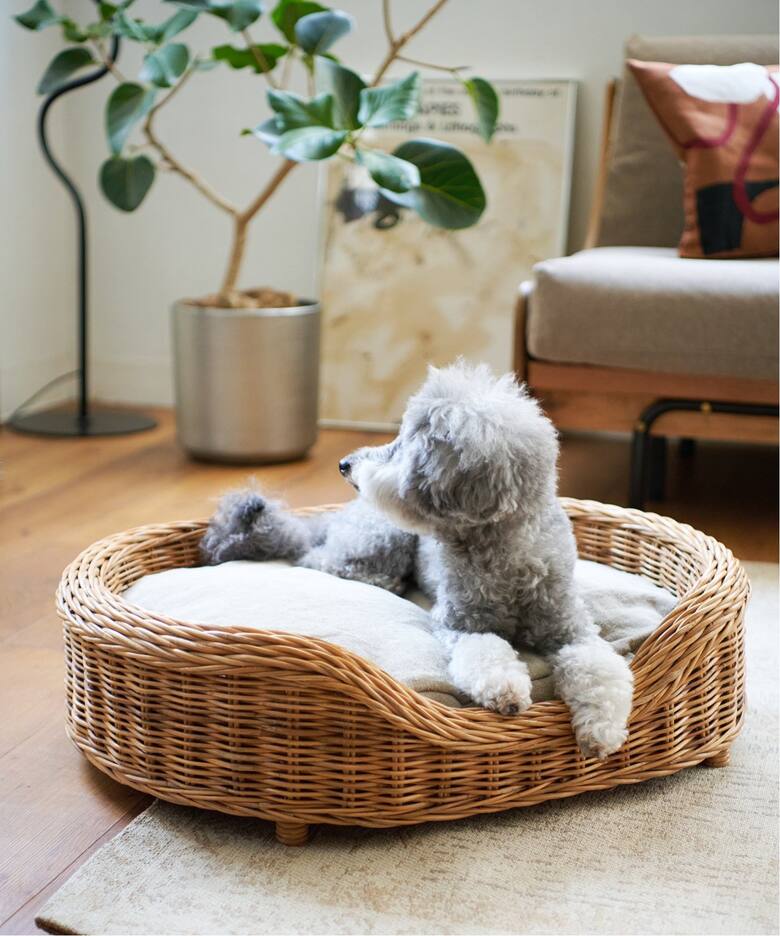 【LITTLERS/リトラーズ】 WICKER PET BED SET M ペット ベッド（ベッド）｜JOURNAL STANDARD