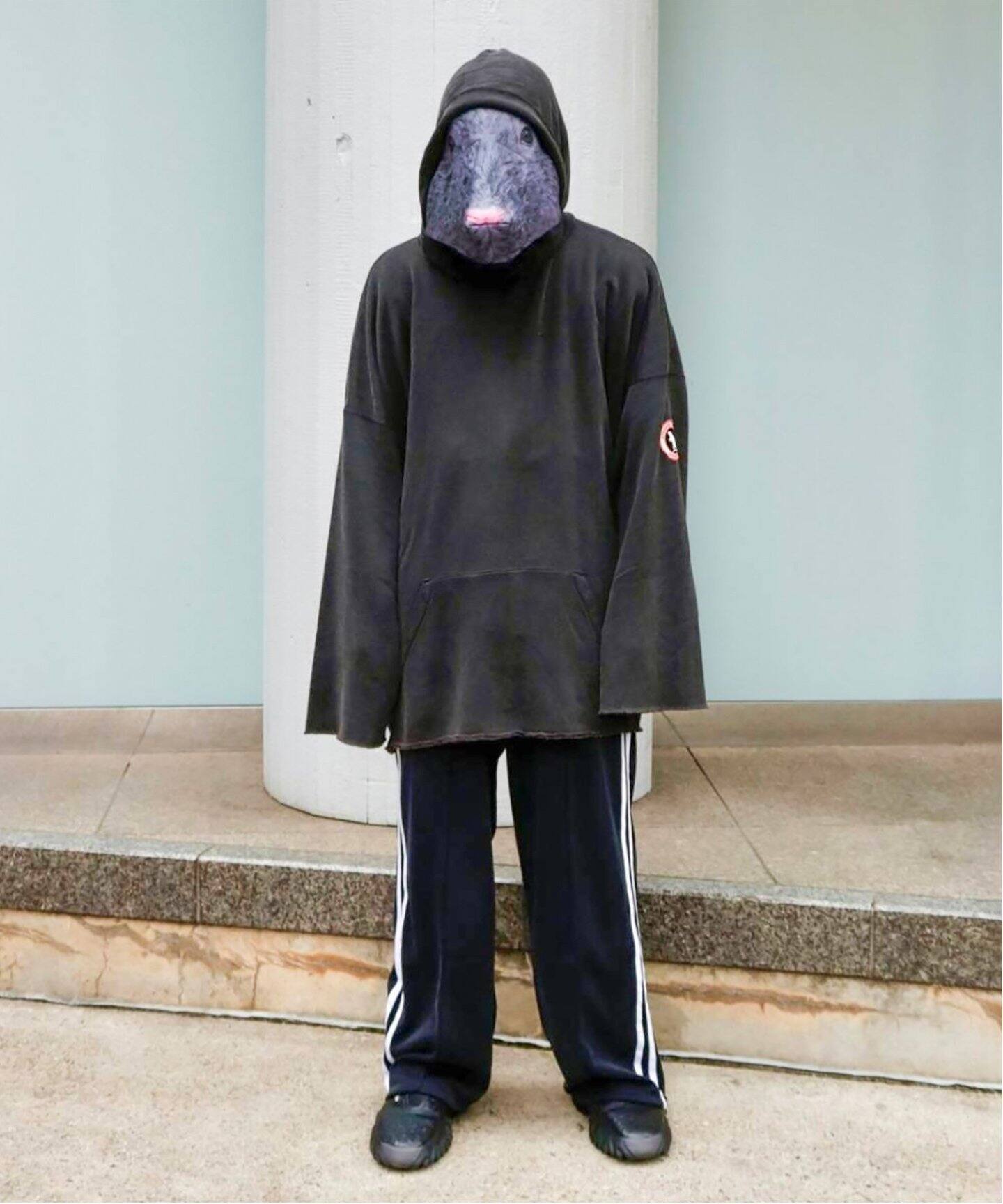 doublet / ダブレット】ANIMAL TRIM OVERSIZED HOODIE（パーカー  