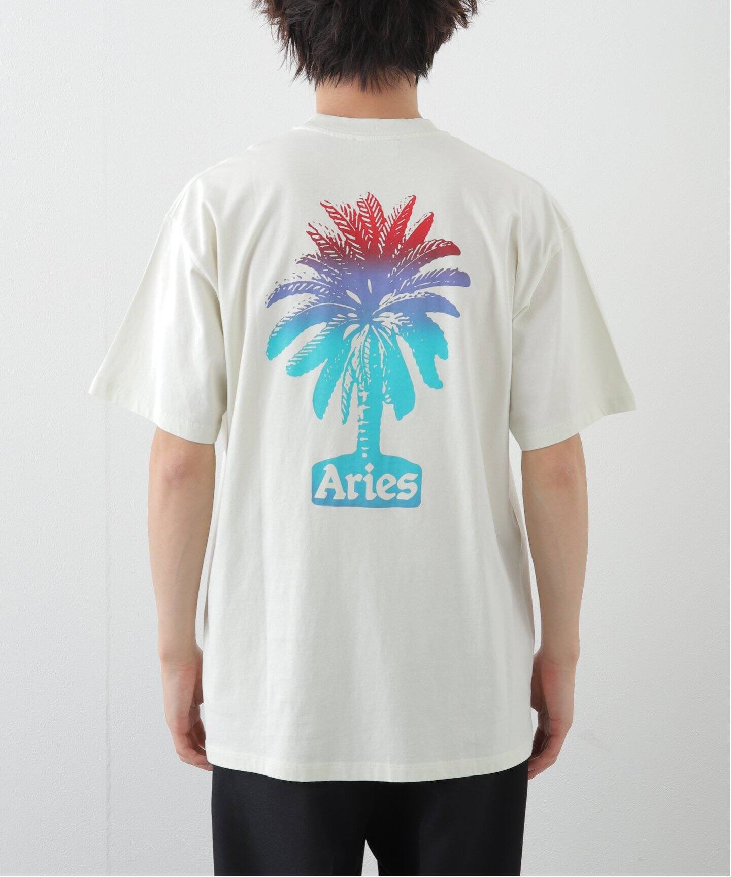 ★ARIES★ Palm SS Short Sleeve T-Shirt Frost STAR60004FRST ARIES / アリーズ】PALM SS TEE(Tシャツ/カットソー