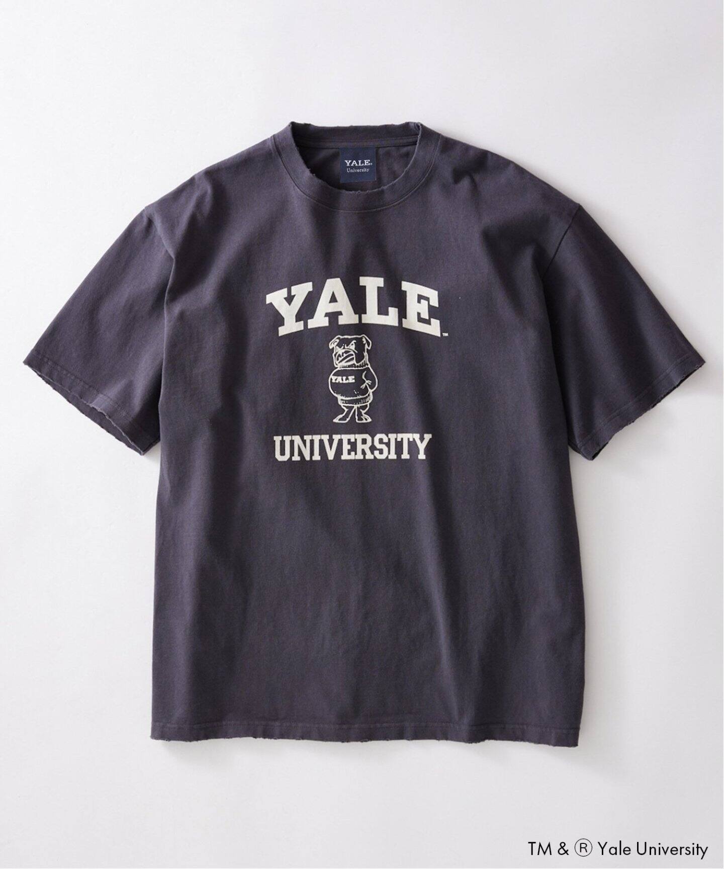 YALE for JOURNAL STANDARD】別注 カレッジTシャツ（Tシャツ 