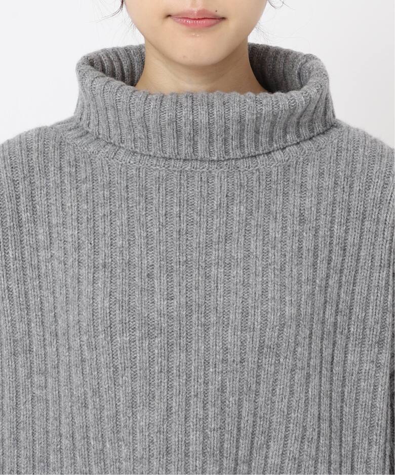 Wide Rib Turtul neck Pullover（ニット／セーター）｜AP STUDIO 