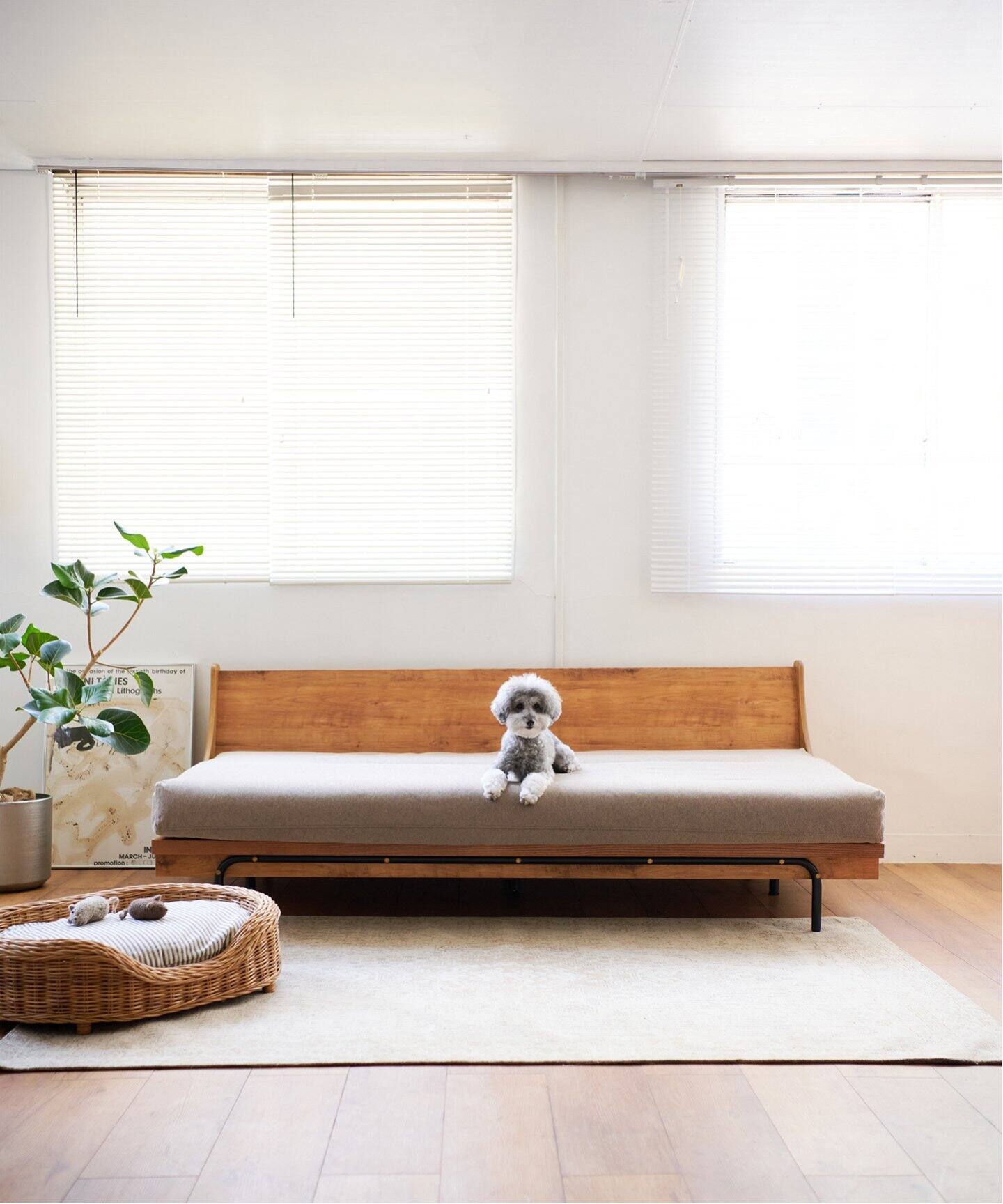 【ブースカ】HABITAT SOFA 200cm 専用カバー(オレンジ) ブースカ】HABITAT SOFA 200cm 専用カバー(オレンジ) Amazon