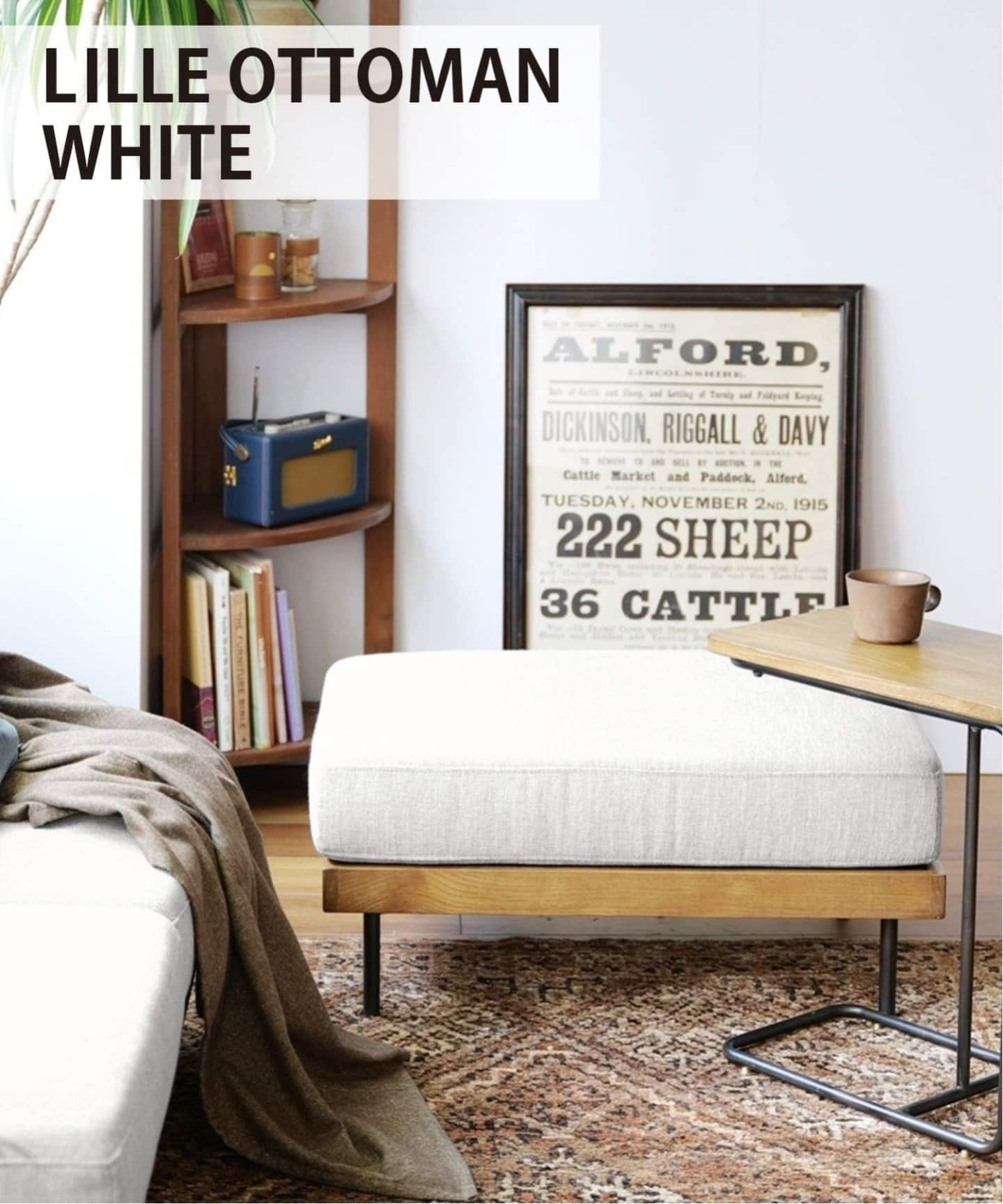 JOURNAL STANDARD FURNITURE（ジャーナルスタンダード ファニチャー