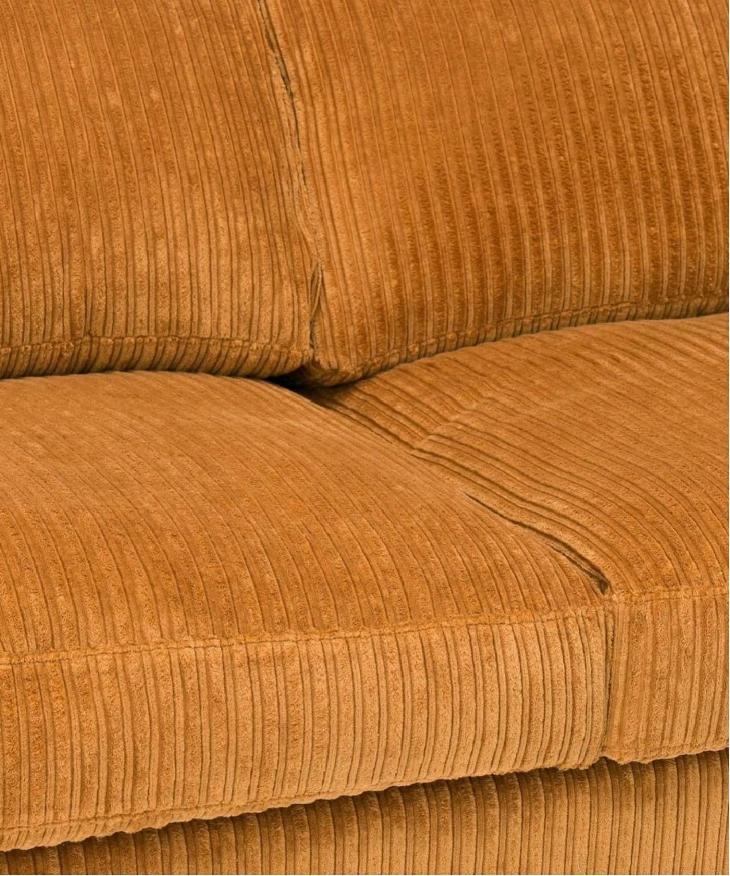 ACME Furniture アクメファニチャー JETTY feather SOFA 2P(L