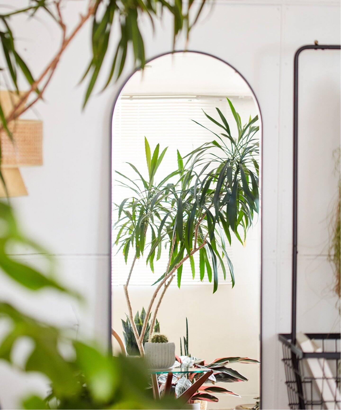 中型商品》PORTO STYLE MIRROR ポルト スタイル ミラー（ミラー 