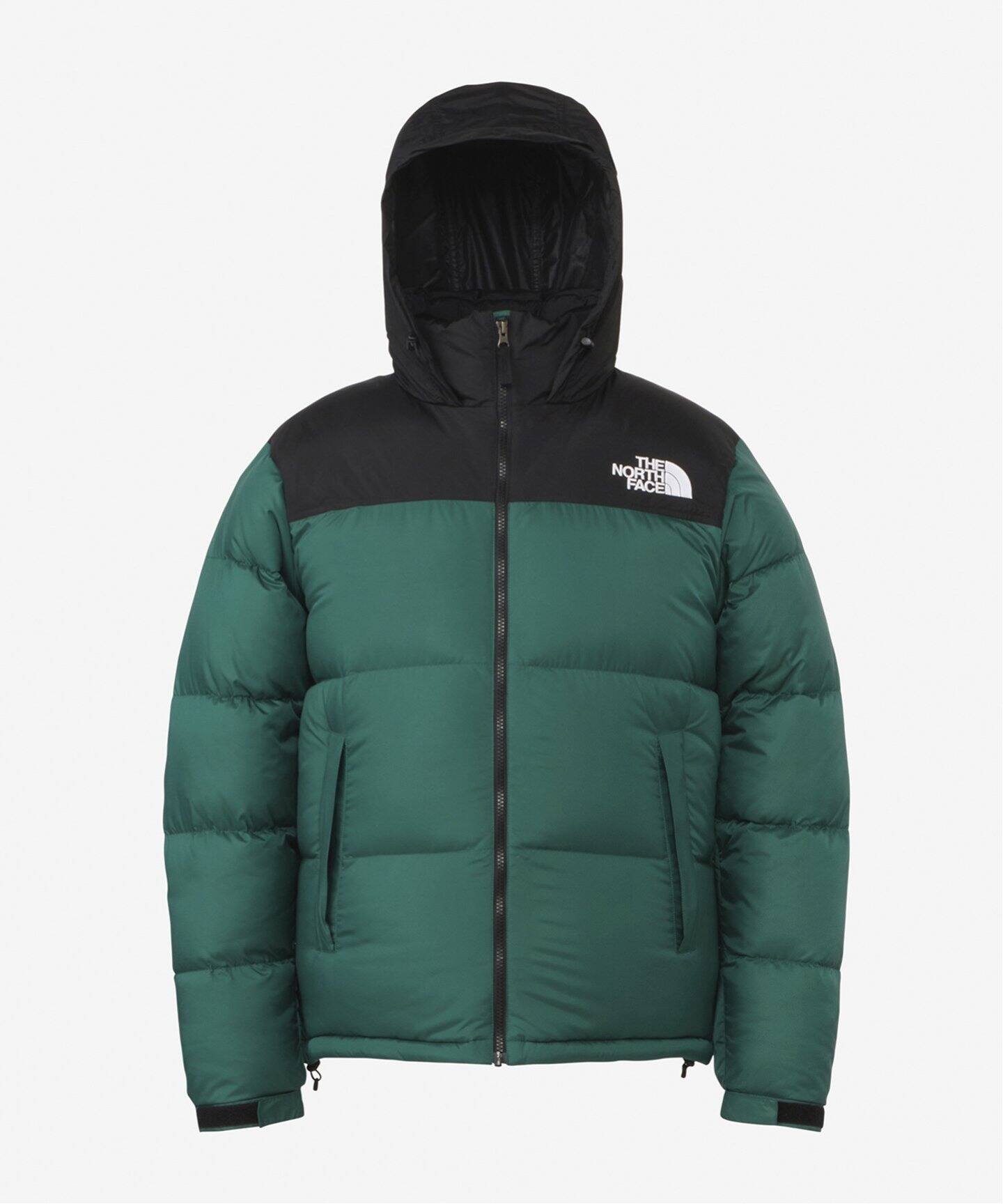 WEB限定【THE NORTH FACE / ザ ノースフェイス】ヌプシ ジャケット  