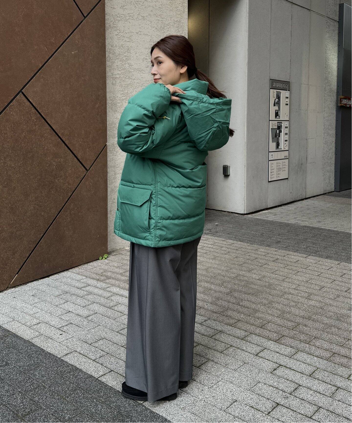THE NORTH FACE PURPLE LABEL】 65/35 SIERRA（ダウンジャケット 