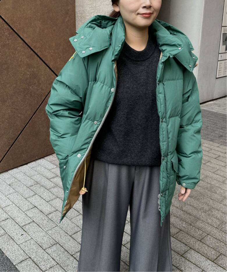 THE NORTH FACE PURPLE LABEL】 65/35 SIERRA（ダウンジャケット 