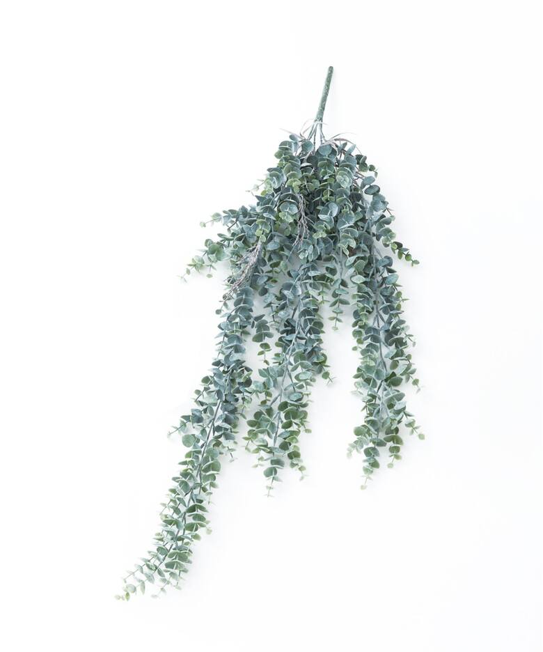 インテリア・雑貨