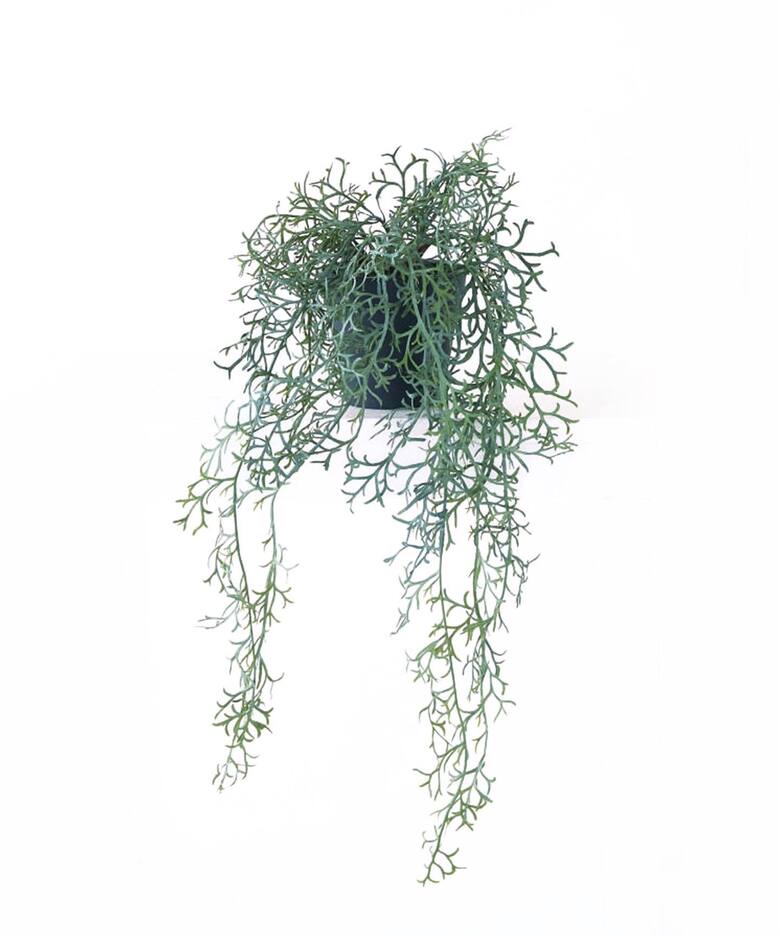 インテリア・雑貨