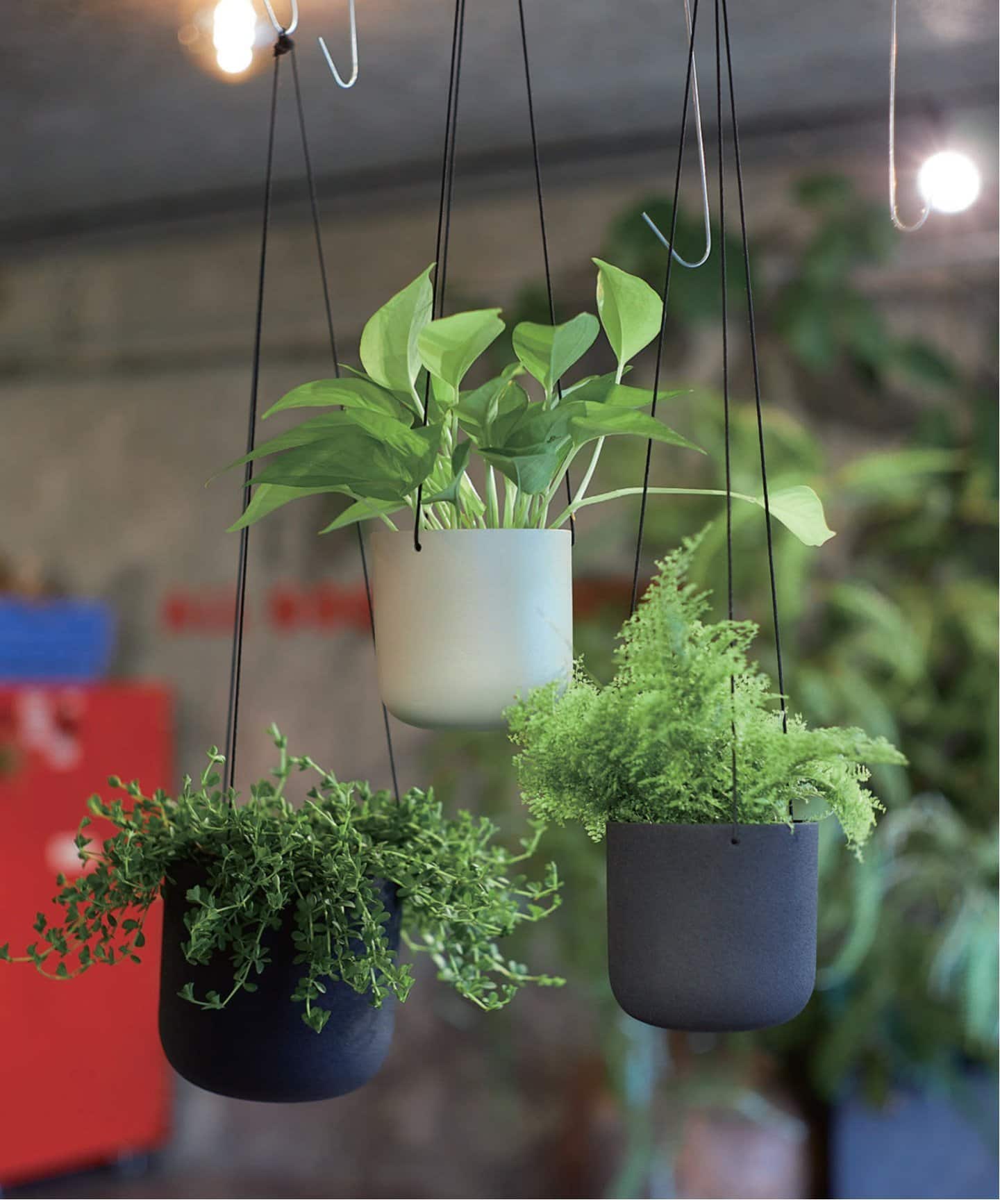 JOURNAL STANDARD FURNITURE Flower 3点セット