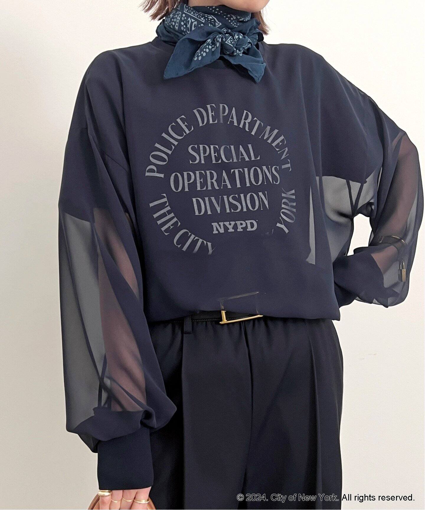 Sheer Blouse（シャツ／ブラウス）｜L