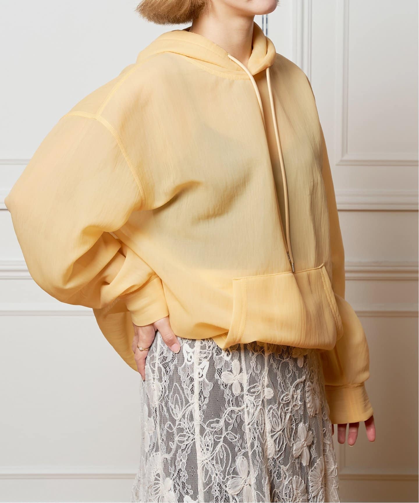 AURALEE(オーラリー) ELASTIC SHEER NYLON P/O PARKA レディース  0 中古 古着 1008 AURALEE AURALEE(オーラリー) ELASTIC SHEER NYLON P/O PARKA