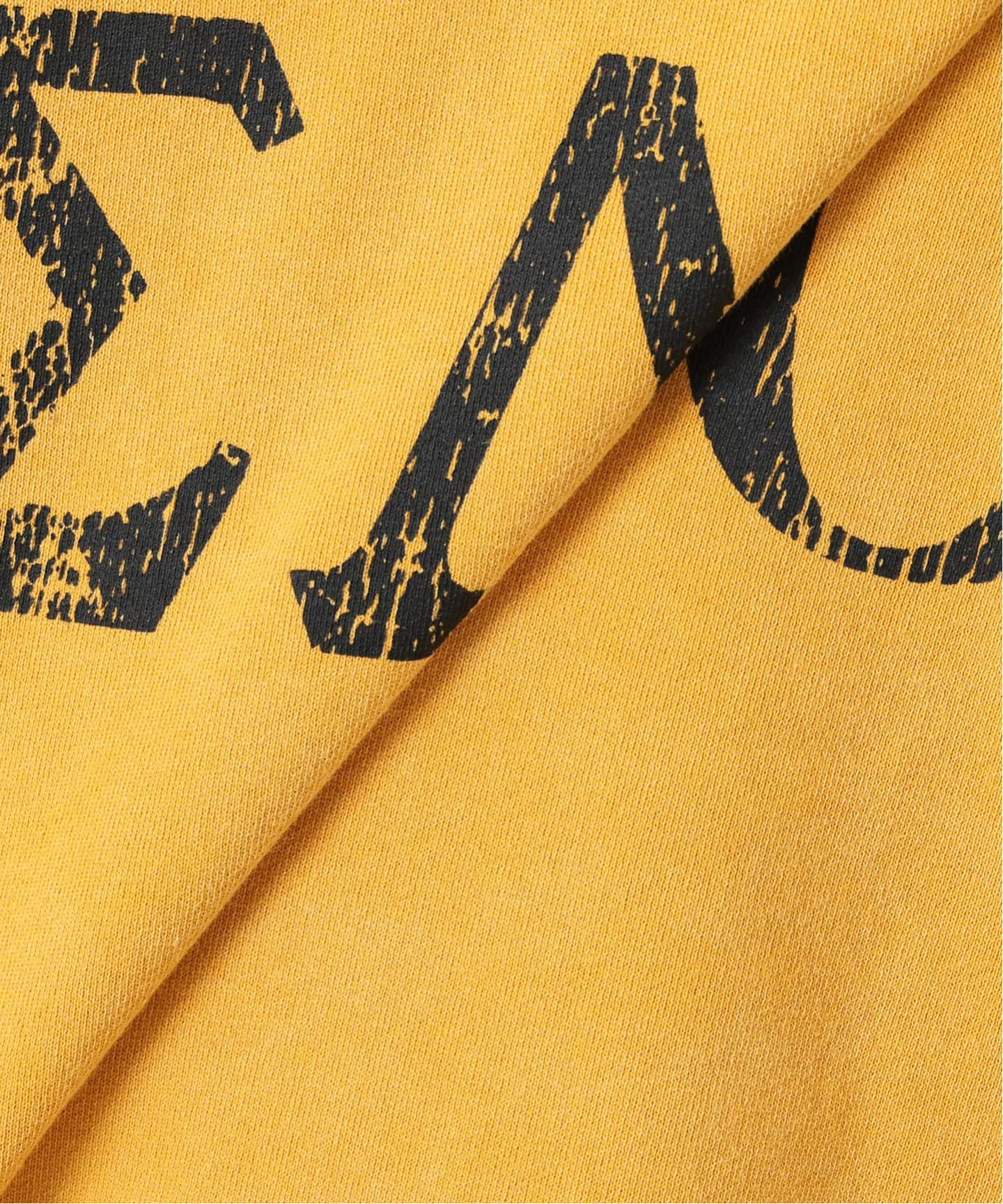 HANTEX / ハンテックス 別注 スーベニア プリント ラグラン スウェット