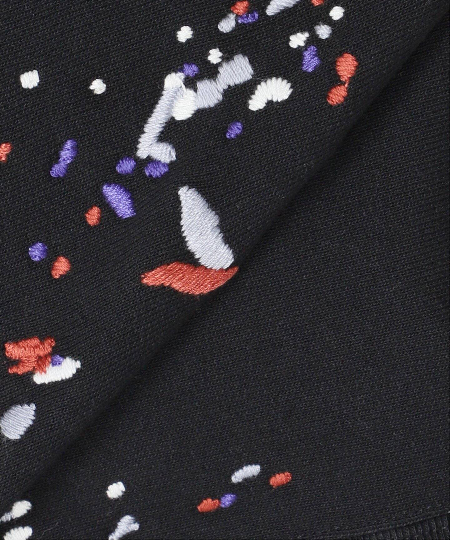 CHAMPION / チャンピオン 別注 R/W 刺繍スプラッシュ スウェット