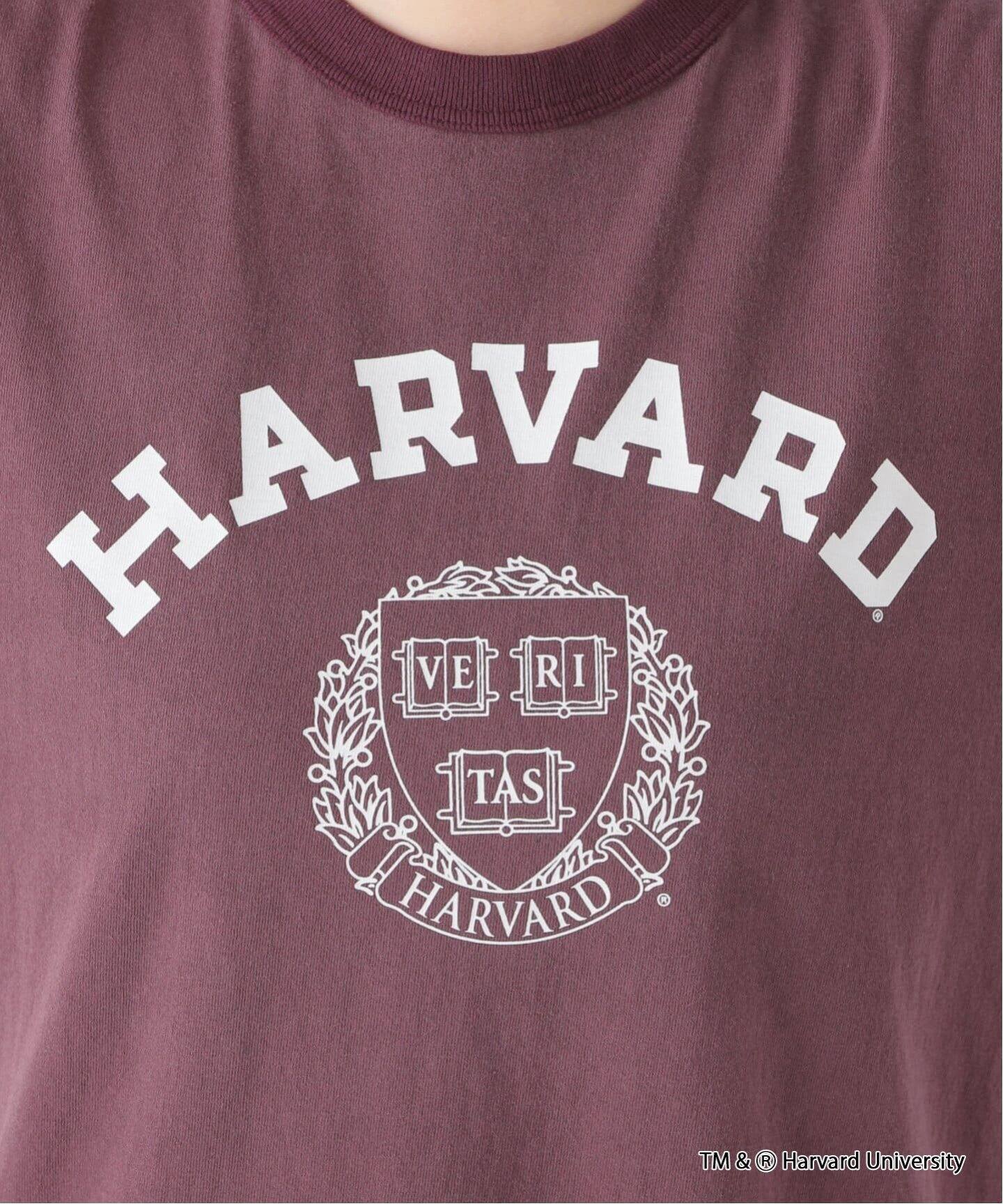 GOOD ROCK SPEED/グッド ロック スピード】 HARVARD TEE（Tシャツ 