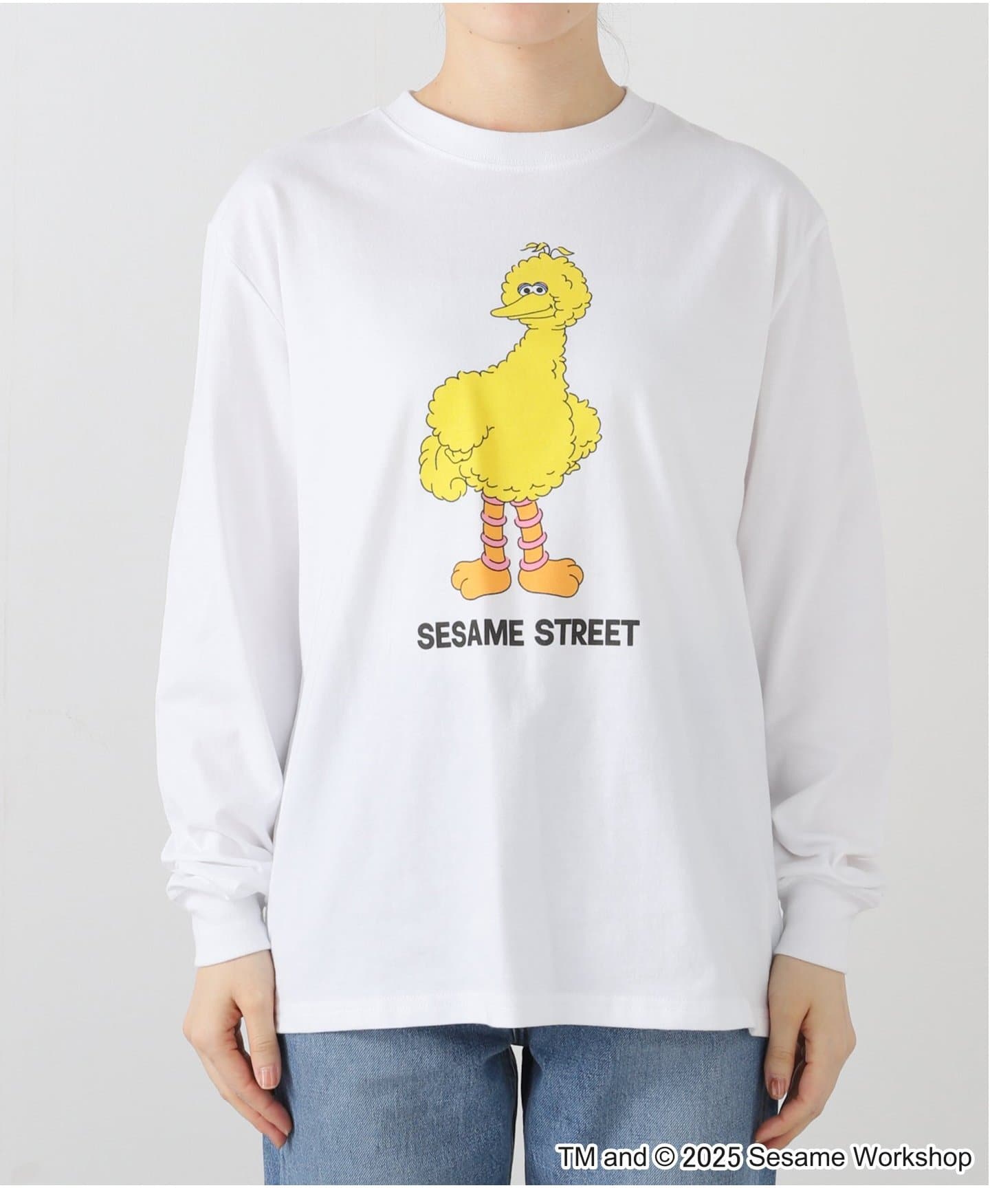 tシャツ SESAME STREET/セサミストリート 別注 T PRINT LST レディース SESAME STREET/セサミストリート 別注 T PRINT LST（Tシャツ