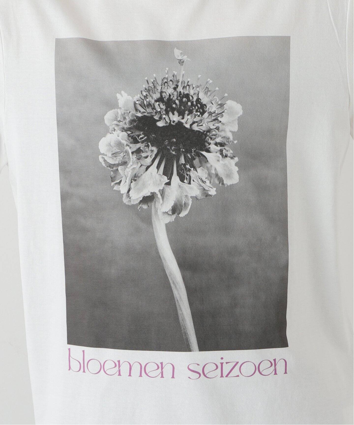LISA KING/リサキング BLOEMEN SEIZON Tシャツ LK166-T（Tシャツ