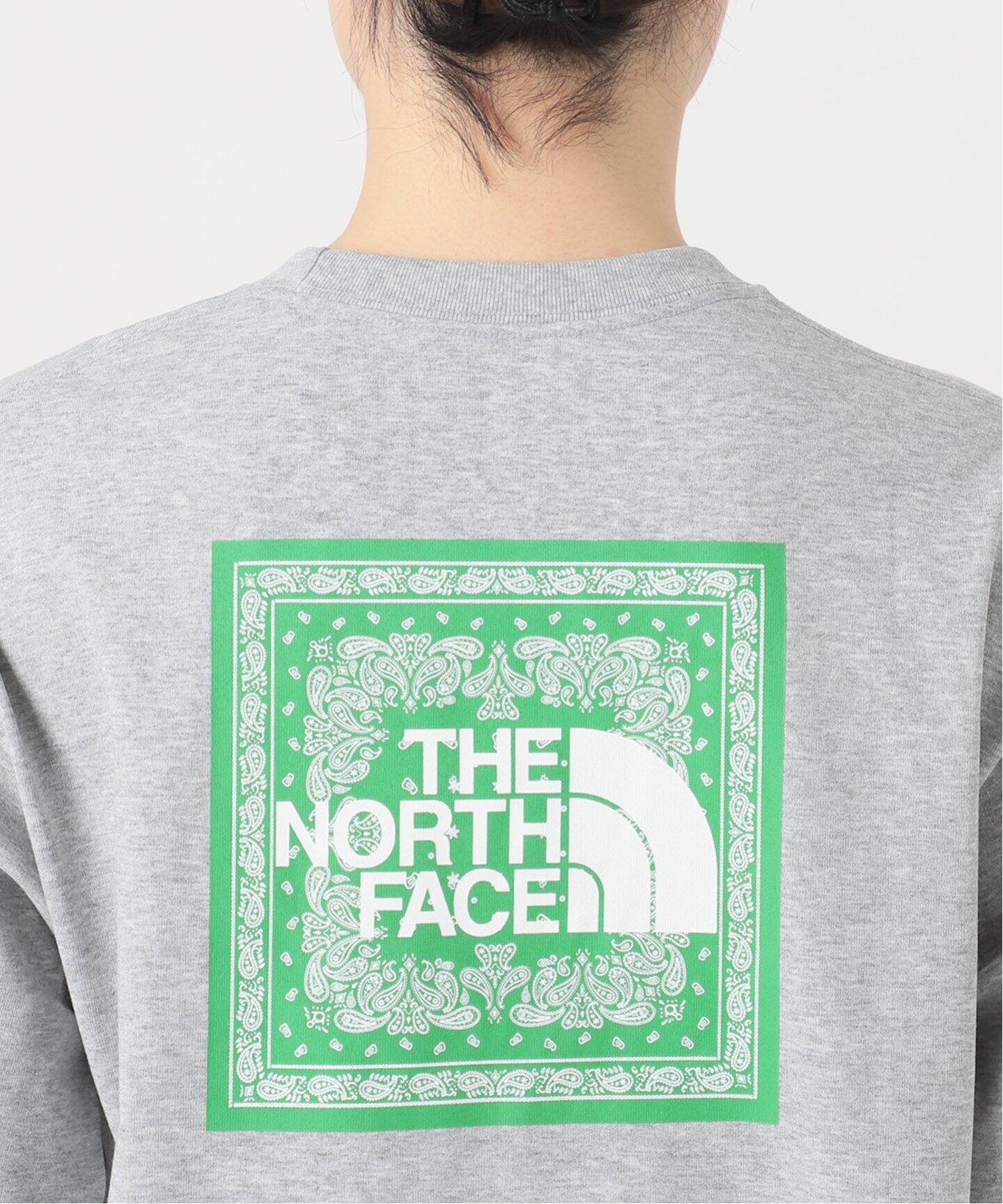 THE NORTH FACE イージージャージー Tシャツ THE NORTH FACE ザ ノースフェイス メンズ イージー Tシャツ