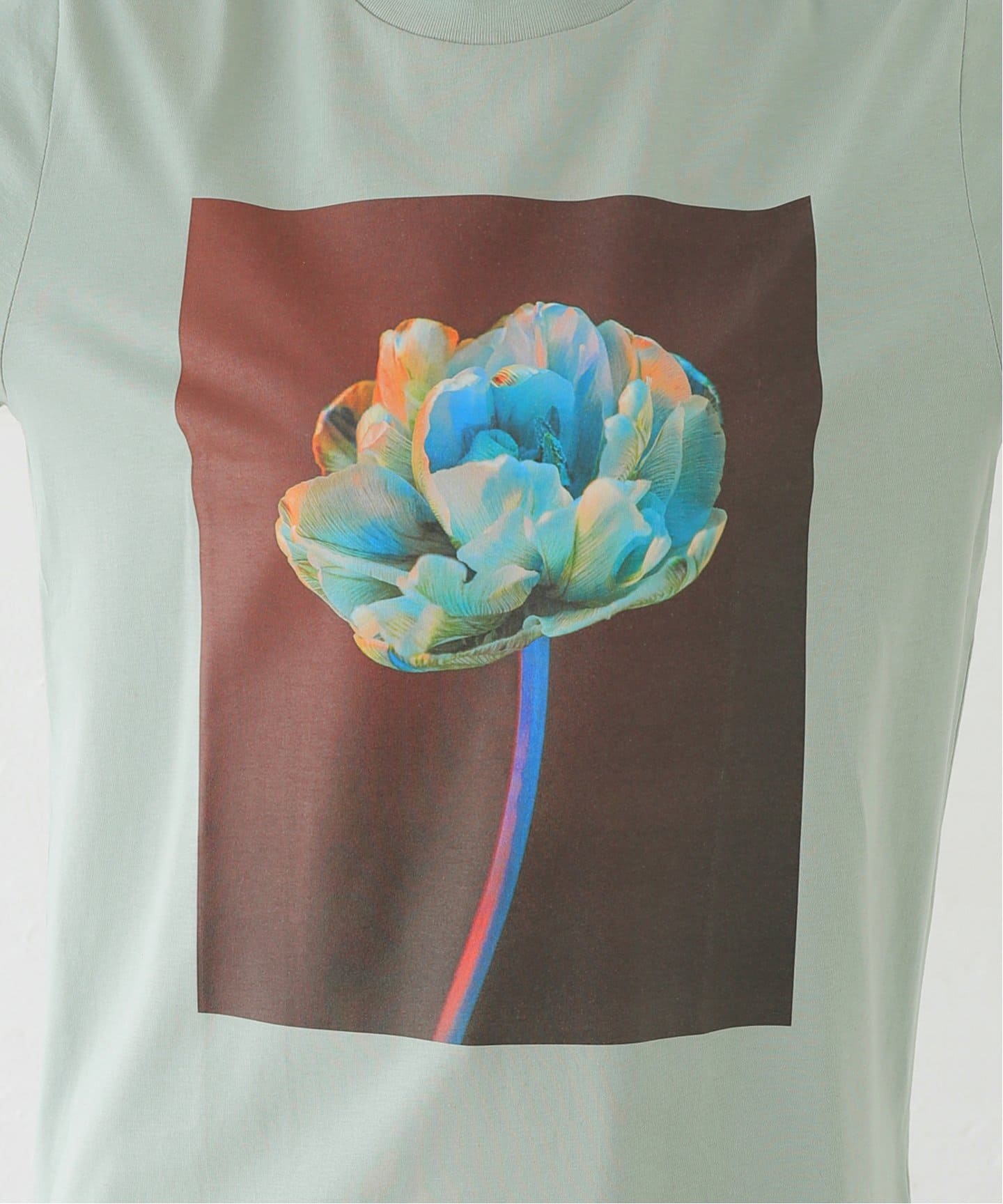 LISA KING/リサキング TULIP BACK Tシャツ LK214-TMOD（Tシャツ