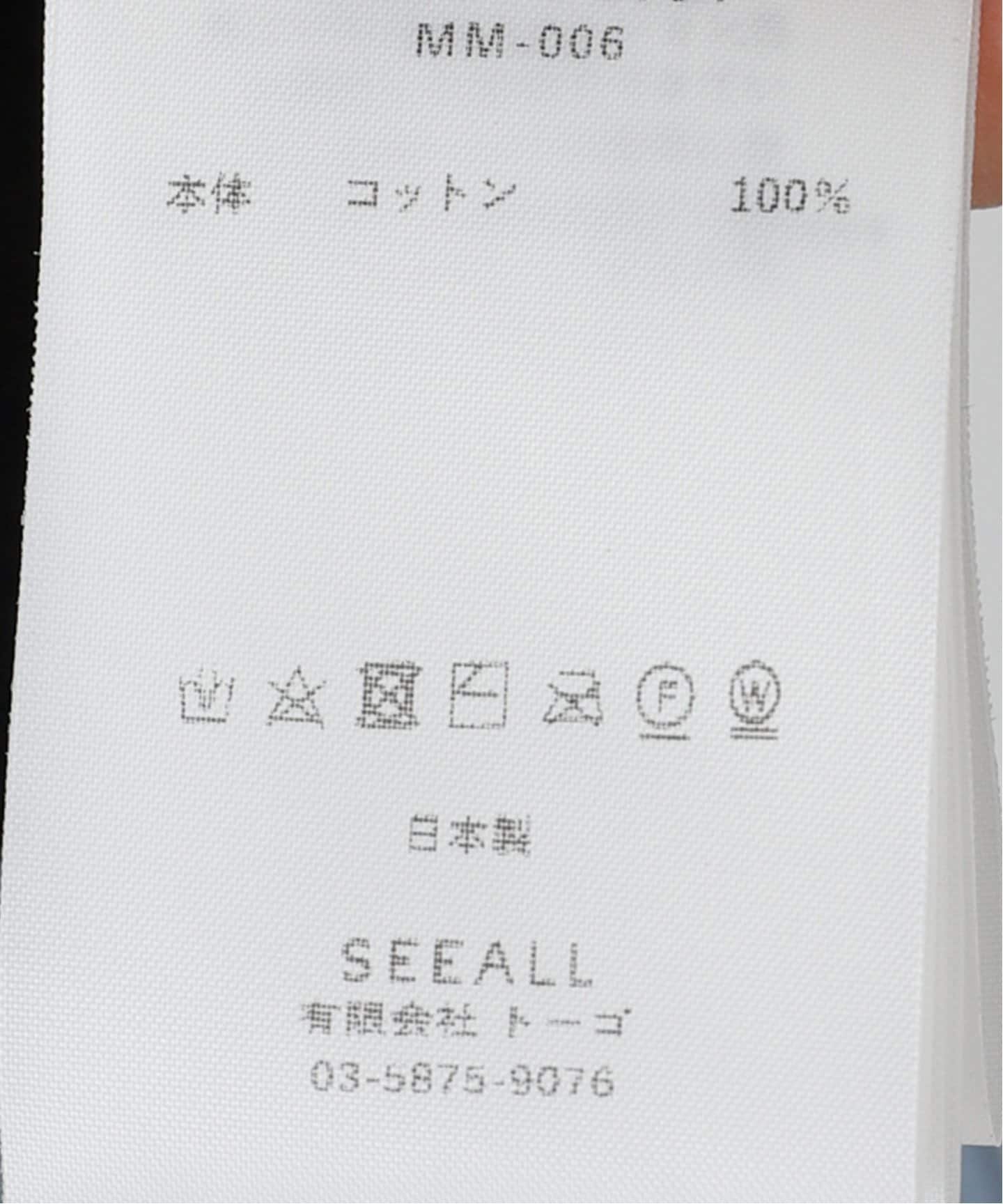 SEEALL/シーオール LAYERED SHEER HIGH NECK Tシャツ（Tシャツ