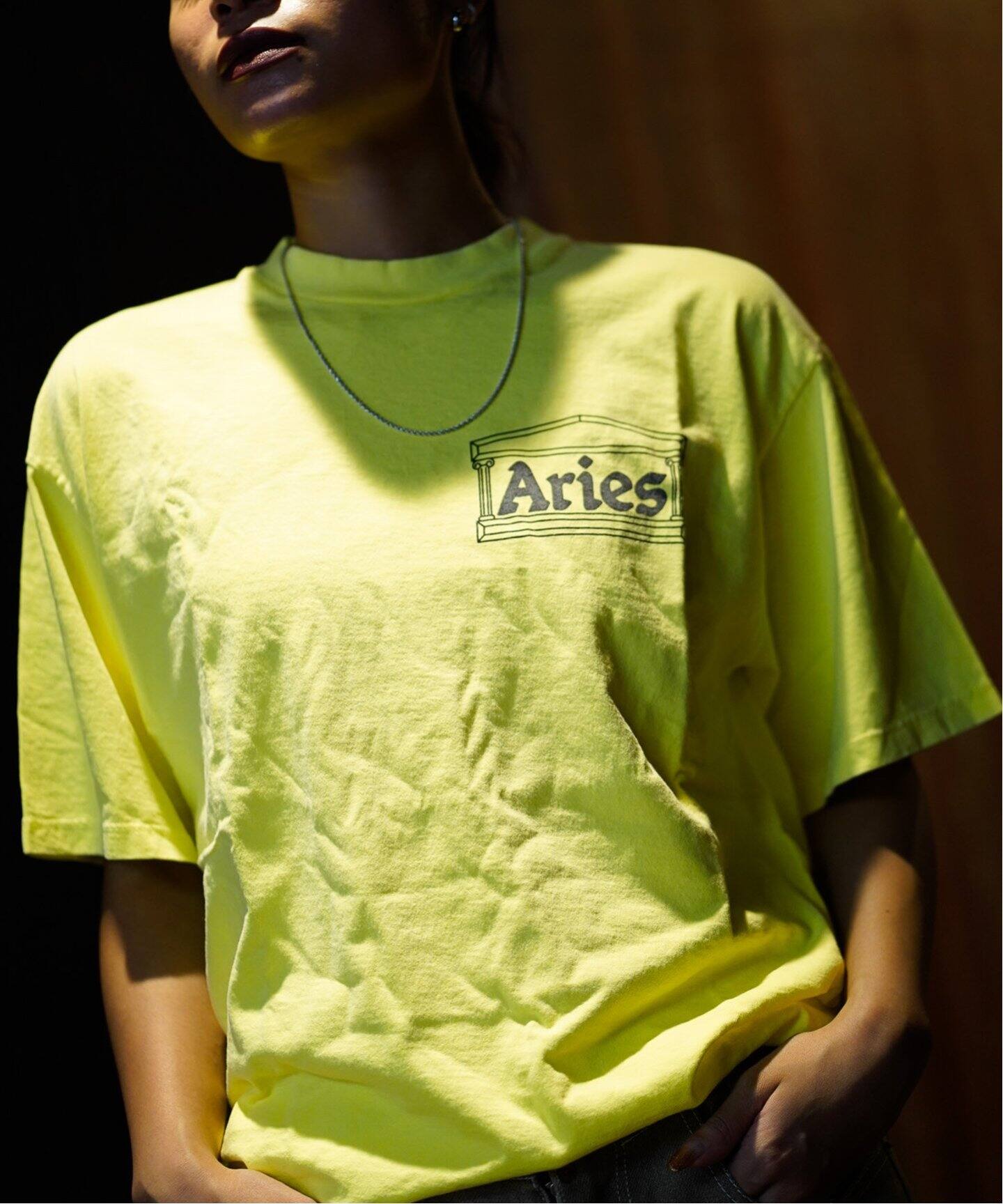 ARIES/アリーズ Stoned Temple SS Tee ARIES / アリーズ】TEMPLE SS TEE（Tシャツ／カットソー）｜PULP